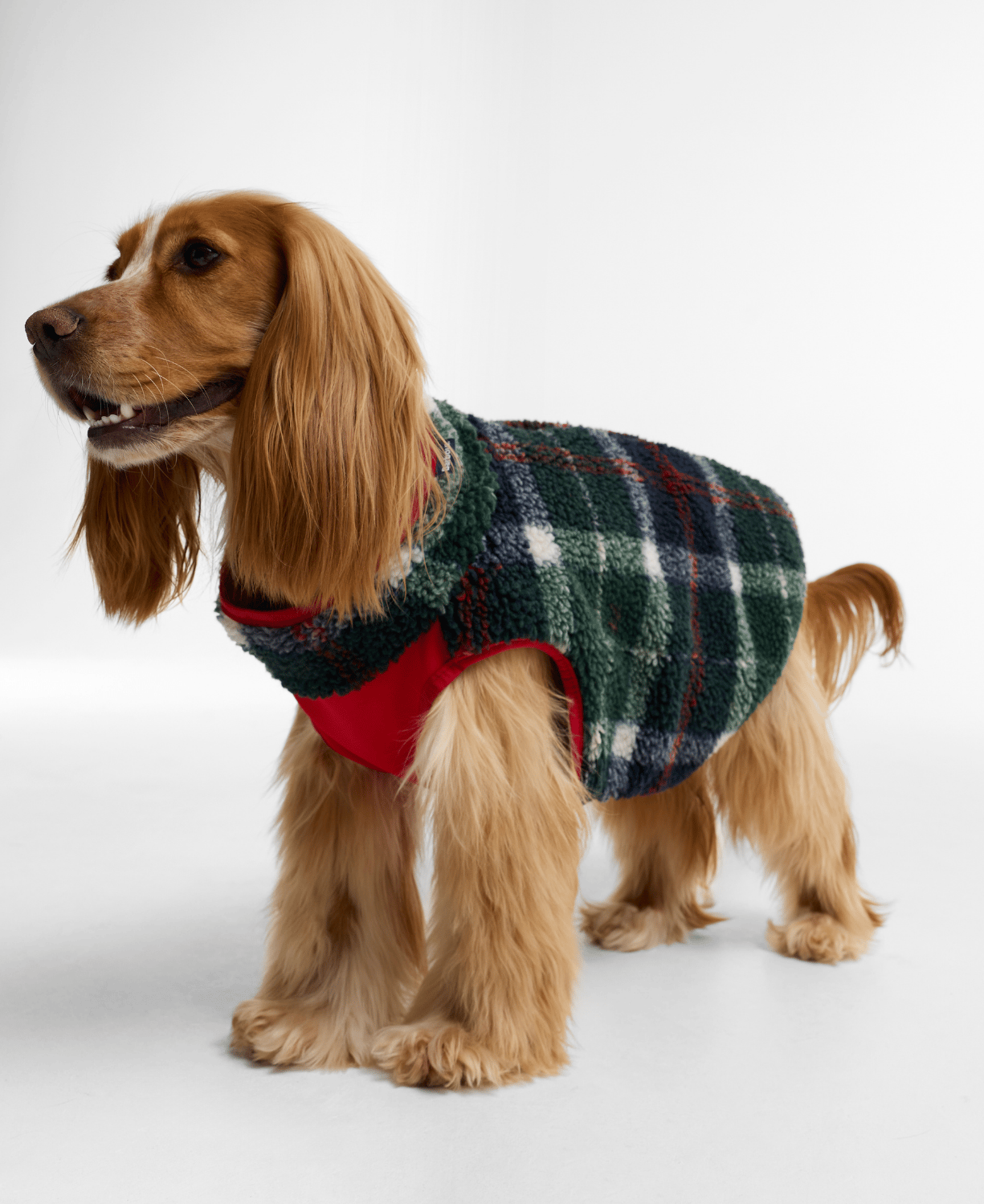 Barbour Field Reversible Köpek Montu