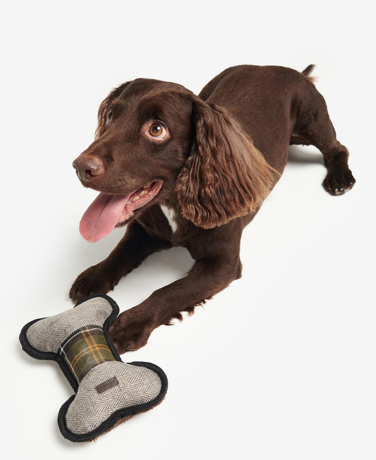 Barbour Köpek Oyuncağı