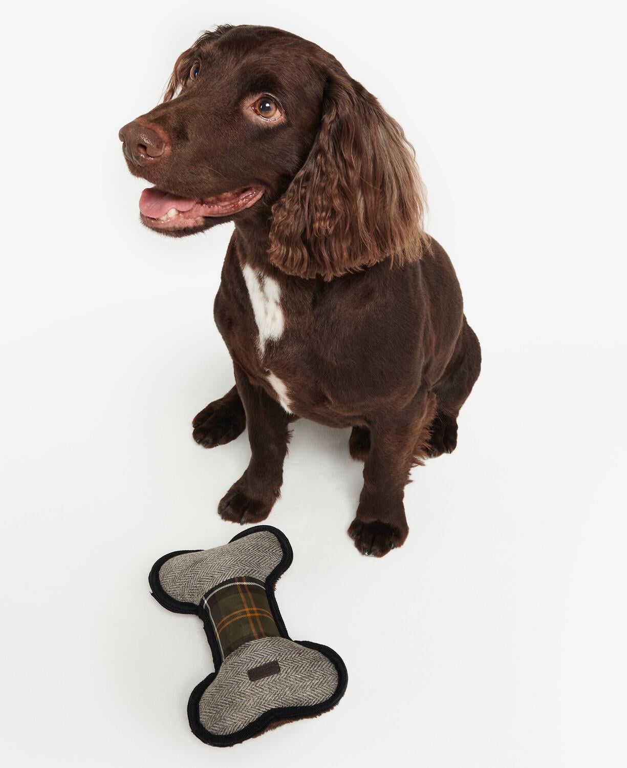Barbour Köpek Oyuncağı