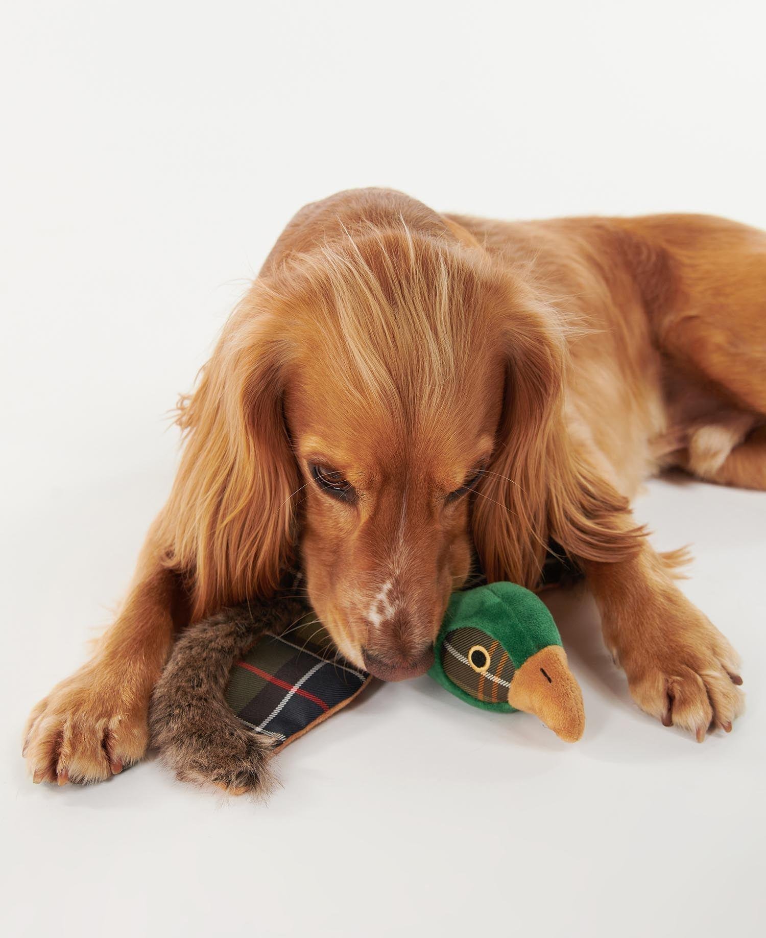 Barbour Köpek Oyuncağı