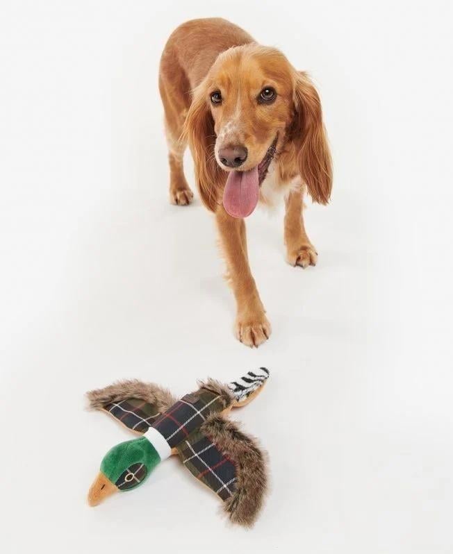 Barbour Köpek Oyuncağı