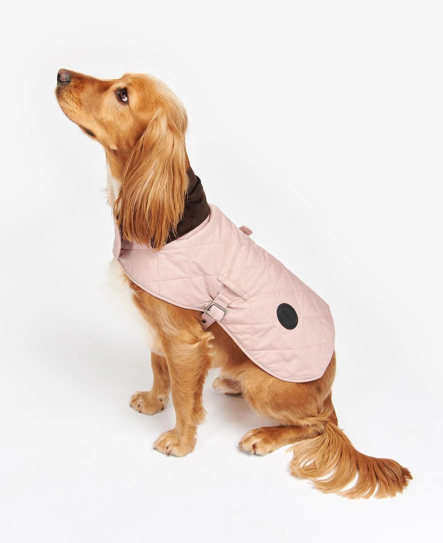 Barbour Quilted Köpek Kıyafeti