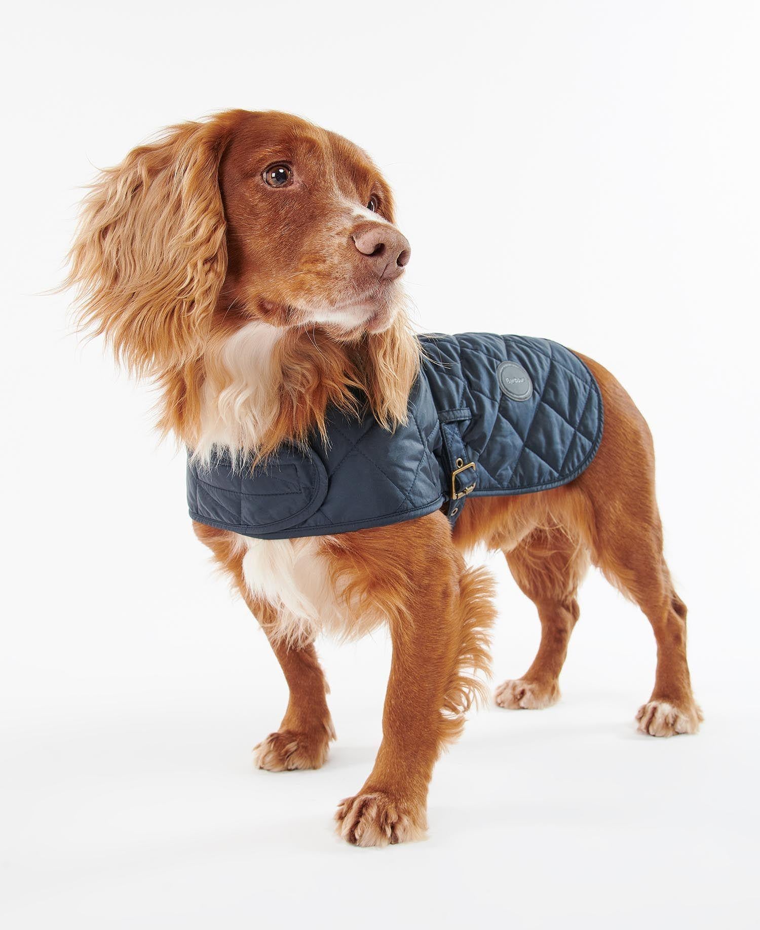 Barbour Quilted Köpek Kıyafeti