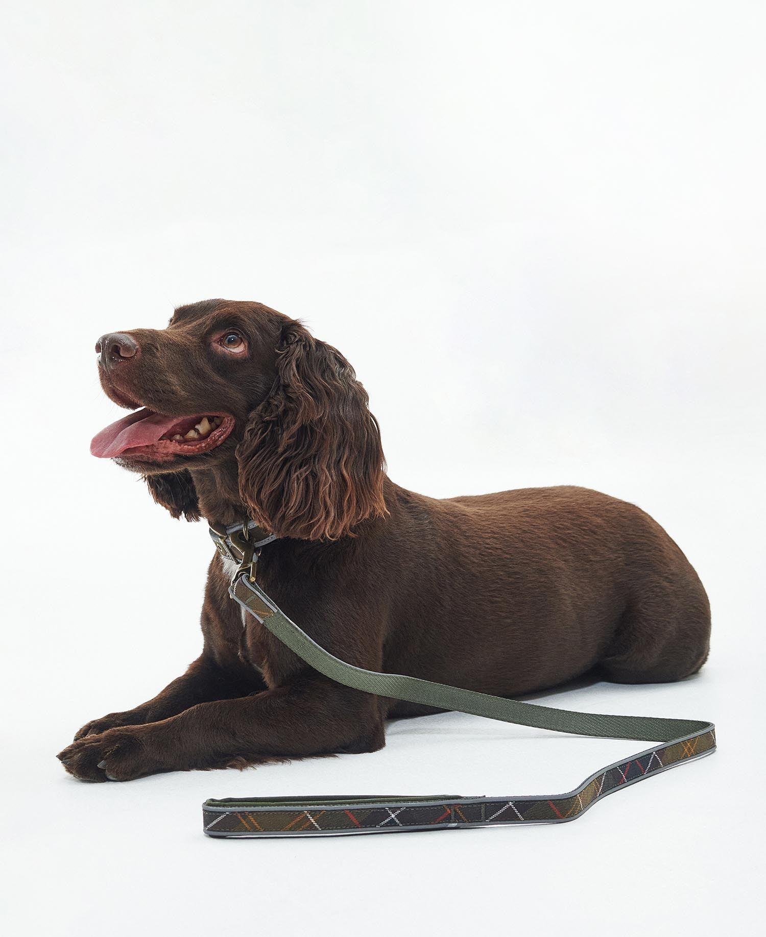 Barbour Reflective Tartan Comfort Köpek Tasması