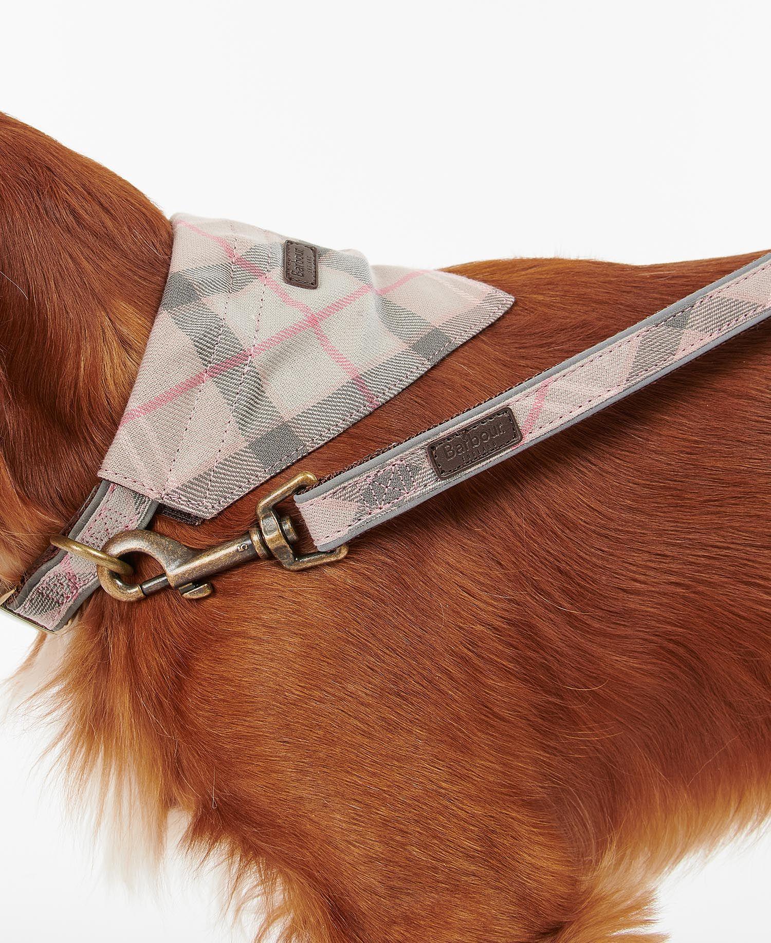 Barbour Reflective Tartan Köpek Tasma Kayışı