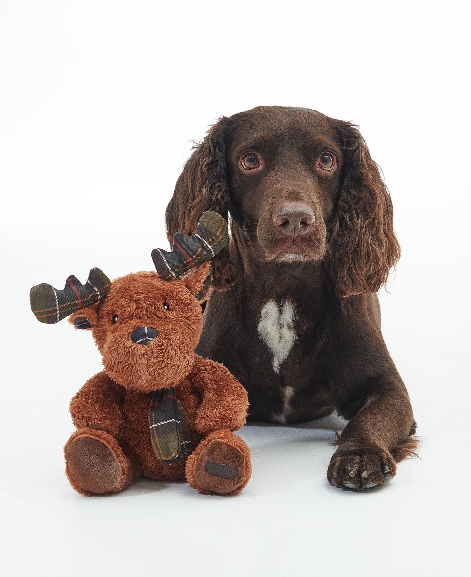 Barbour Ren Geyiği Köpek Oyuncağı