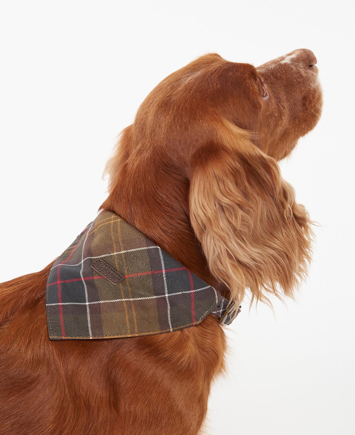 Barbour Tartan Köpek Bandanası