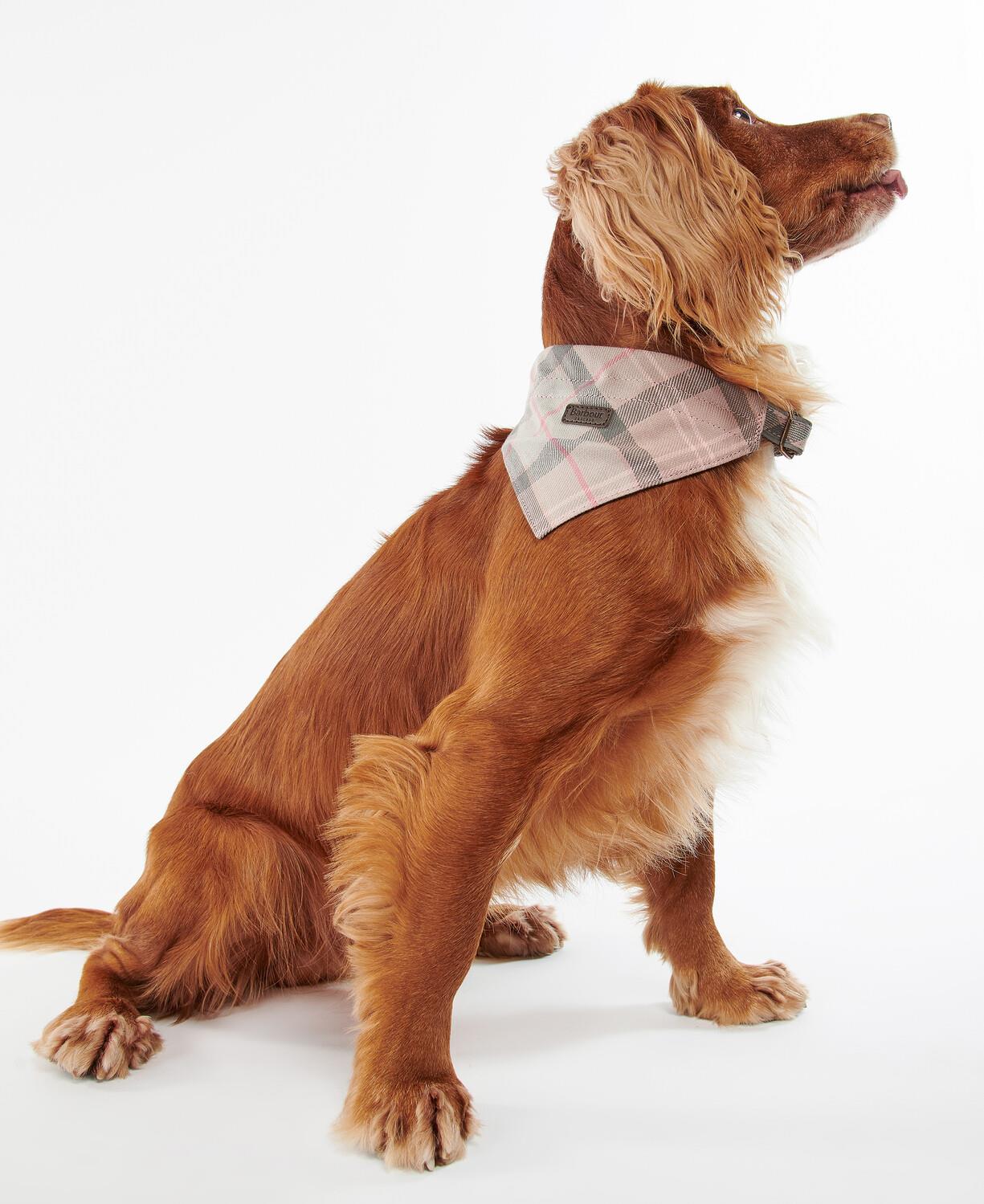 Barbour Tartan Köpek Bandanası