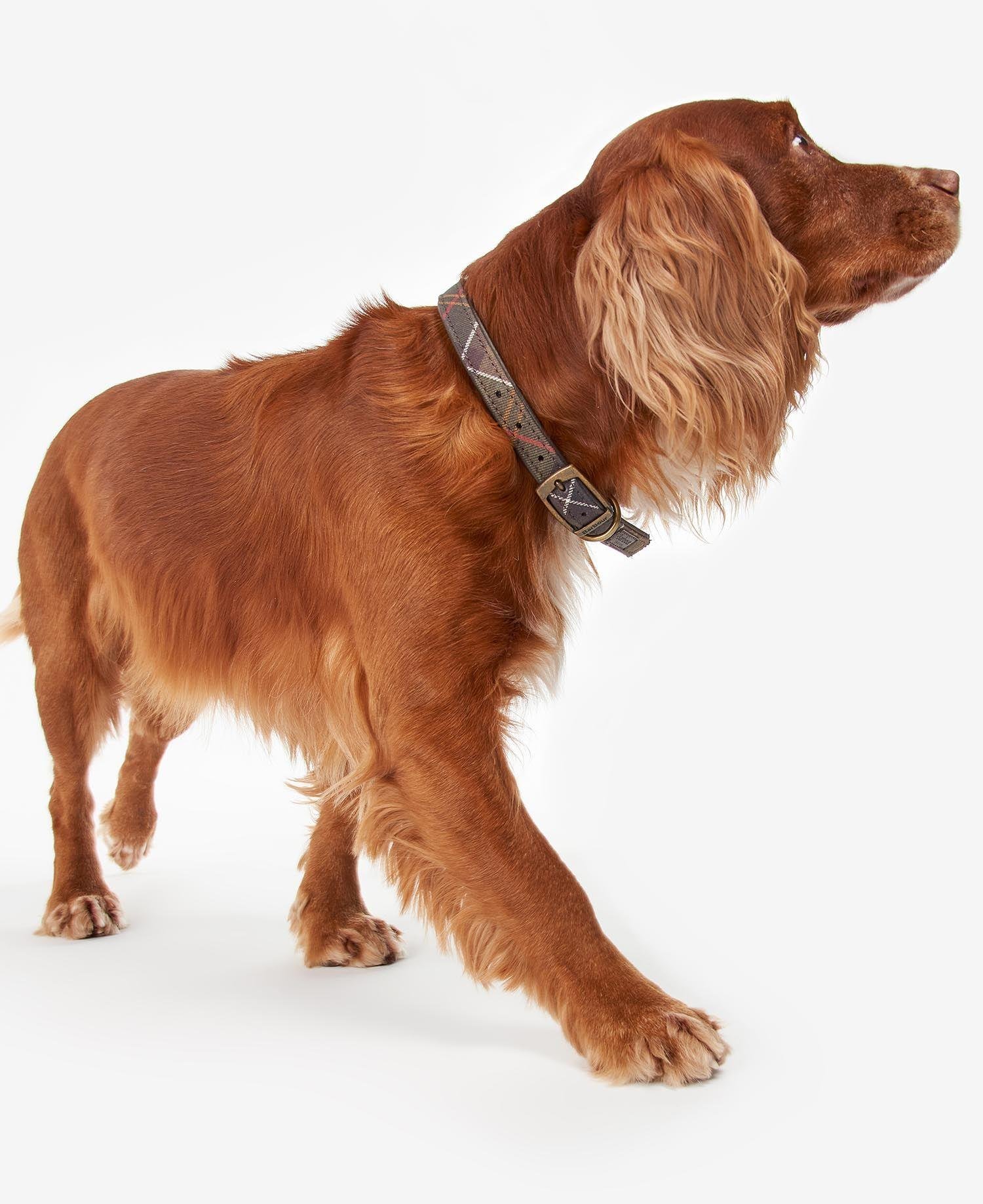 Barbour Tartan Köpek Boyun Tasması