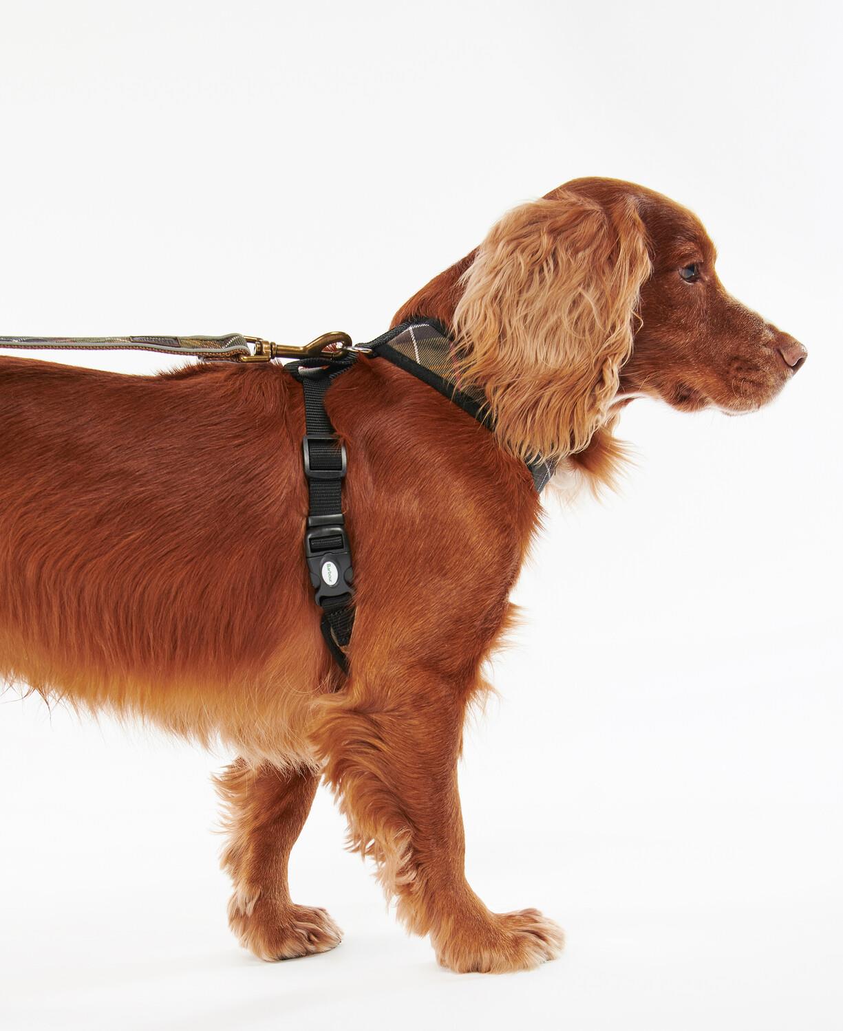 Barbour Tartan Köpek Göğüs Tasması