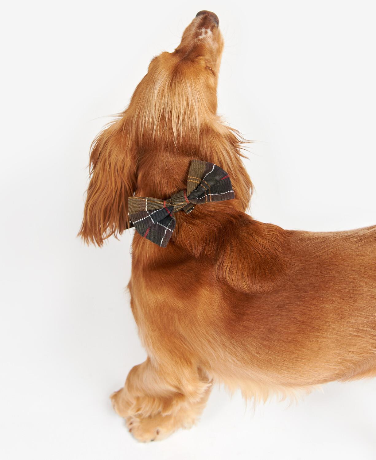 Barbour Tartan Köpek Papyonu