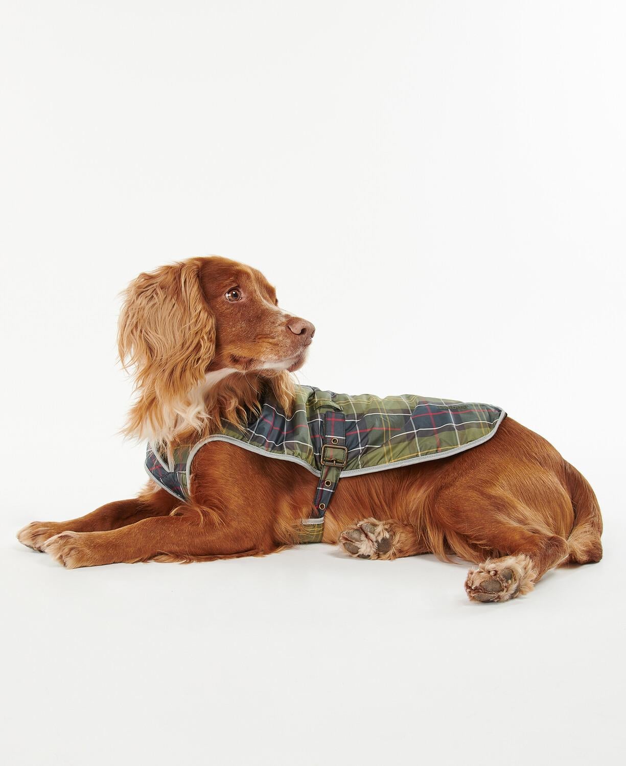 Barbour Tartan Waterproof Köpek Kıyafeti