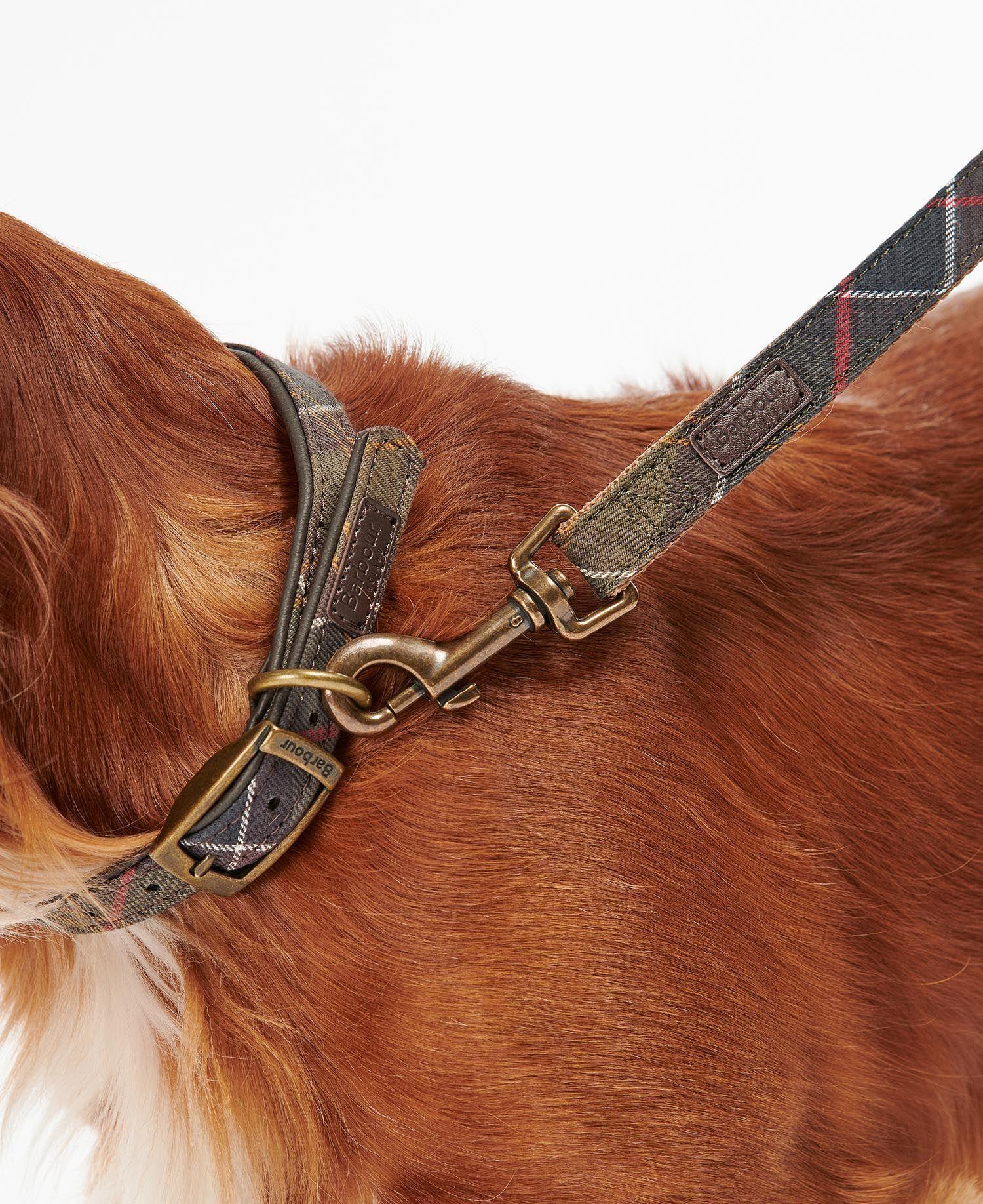 Barbour Tartan/Webbing Köpek Tasma Kayışı