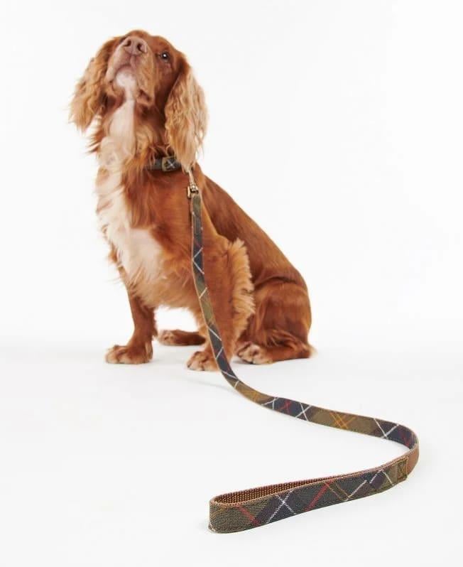 Barbour Tartan/Webbing Köpek Tasma Kayışı
