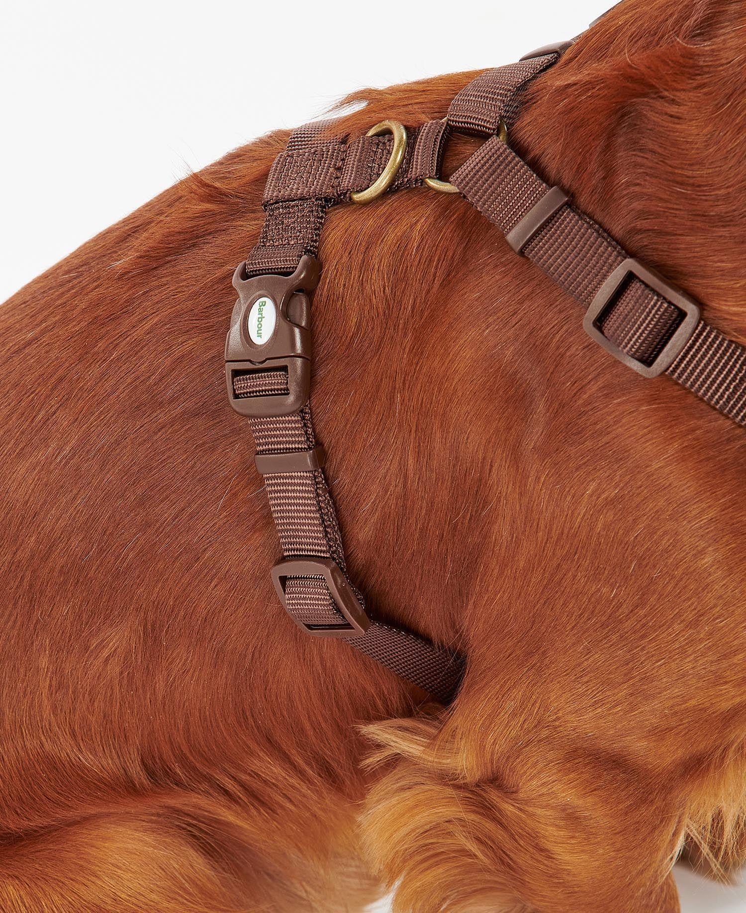 Barbour Travel And Exercise Köpek Tasması