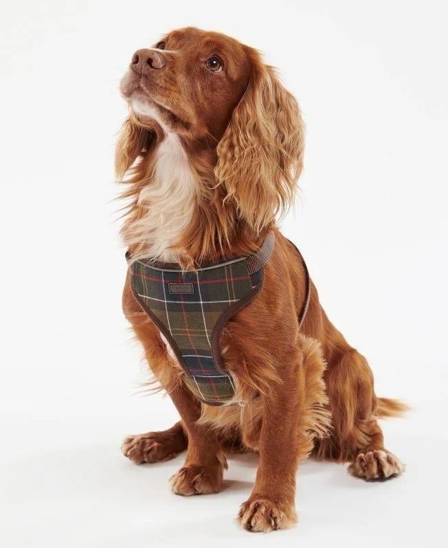 Barbour Travel And Exercise Köpek Tasması