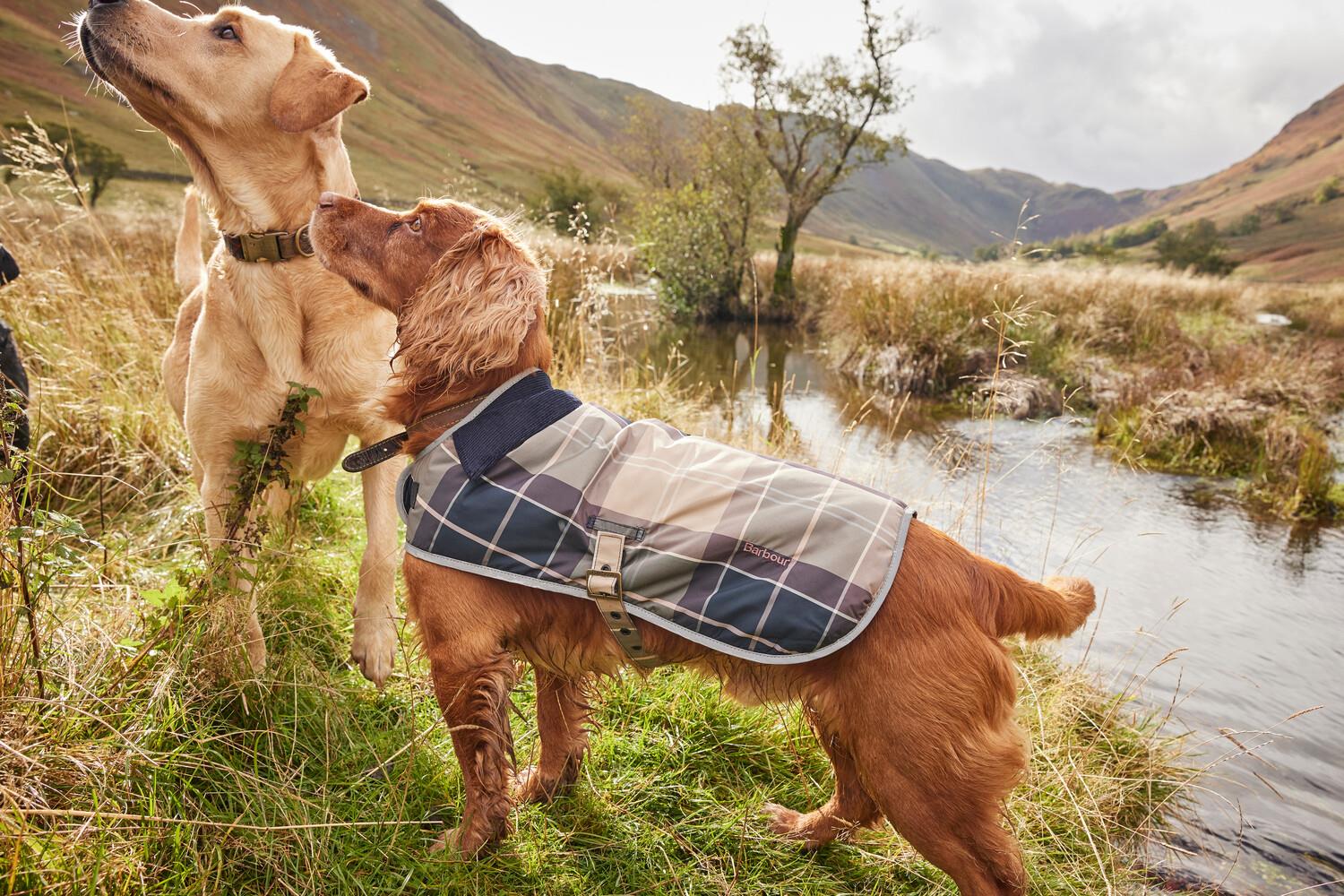 Barbour Wetherham Ekose Köpek Montu