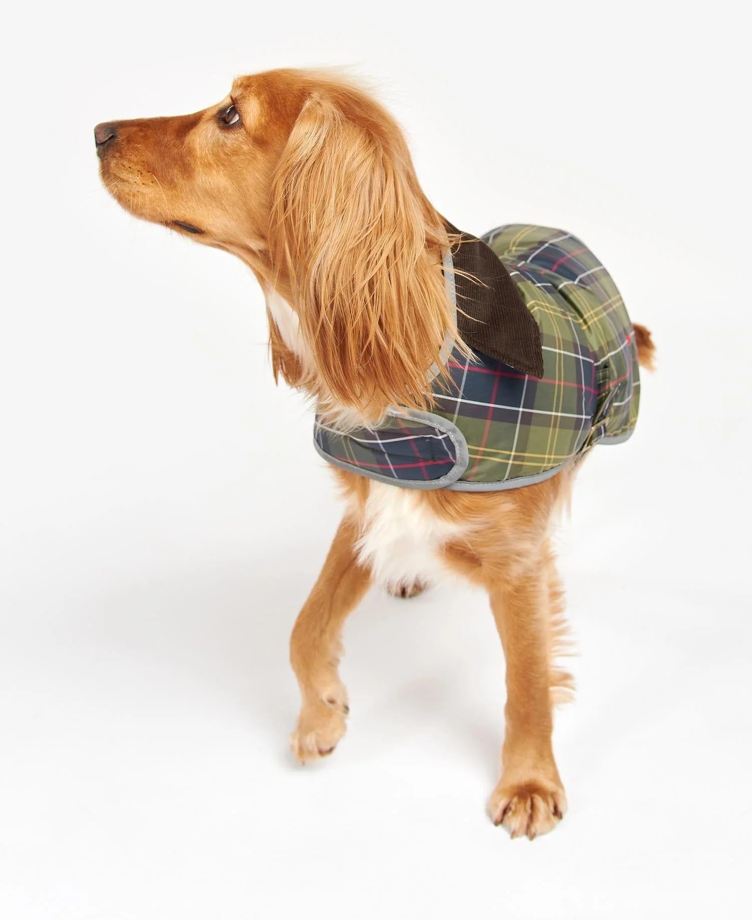 Barbour Wetherham Ekose Köpek Montu