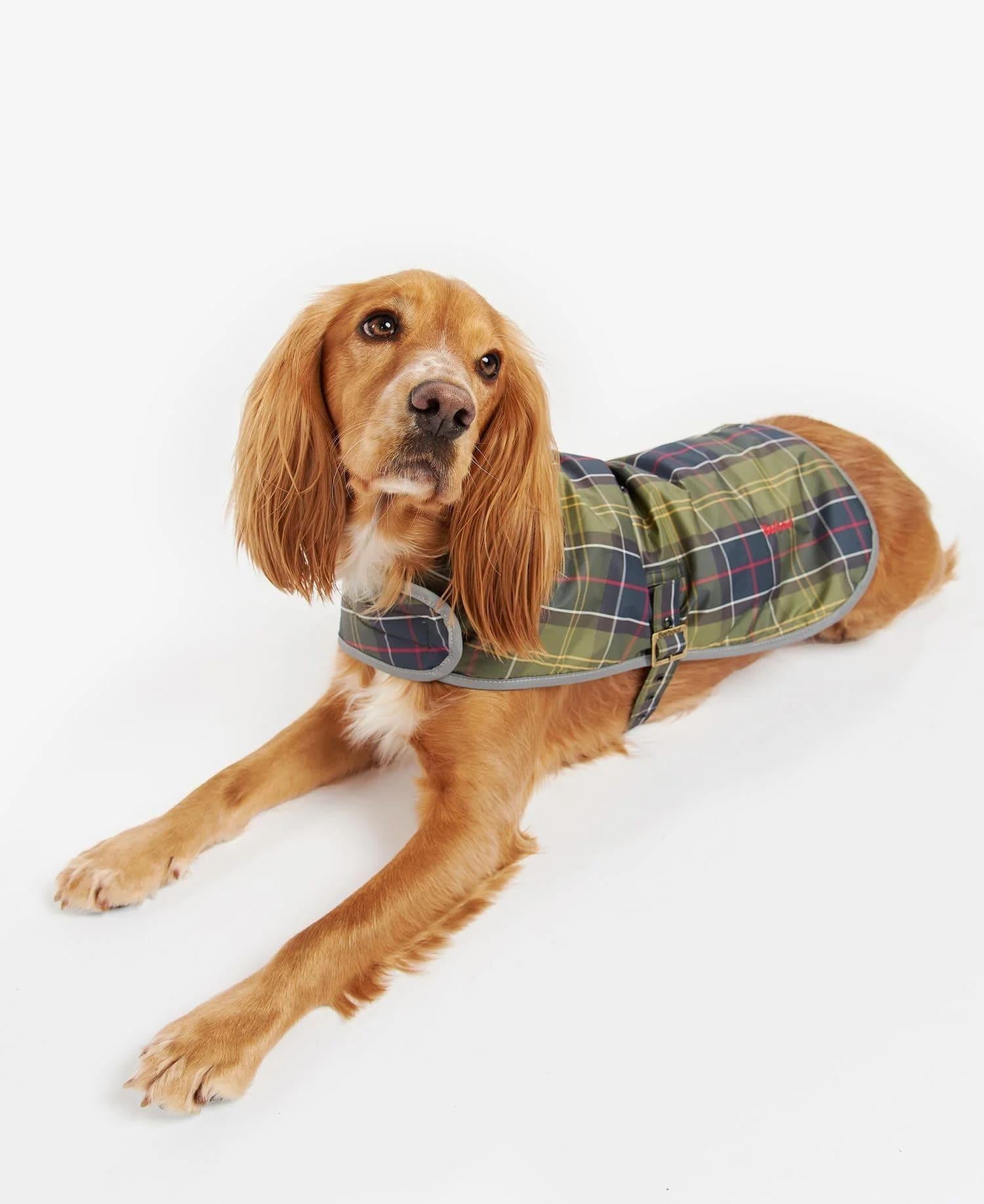 Barbour Wetherham Ekose Köpek Montu