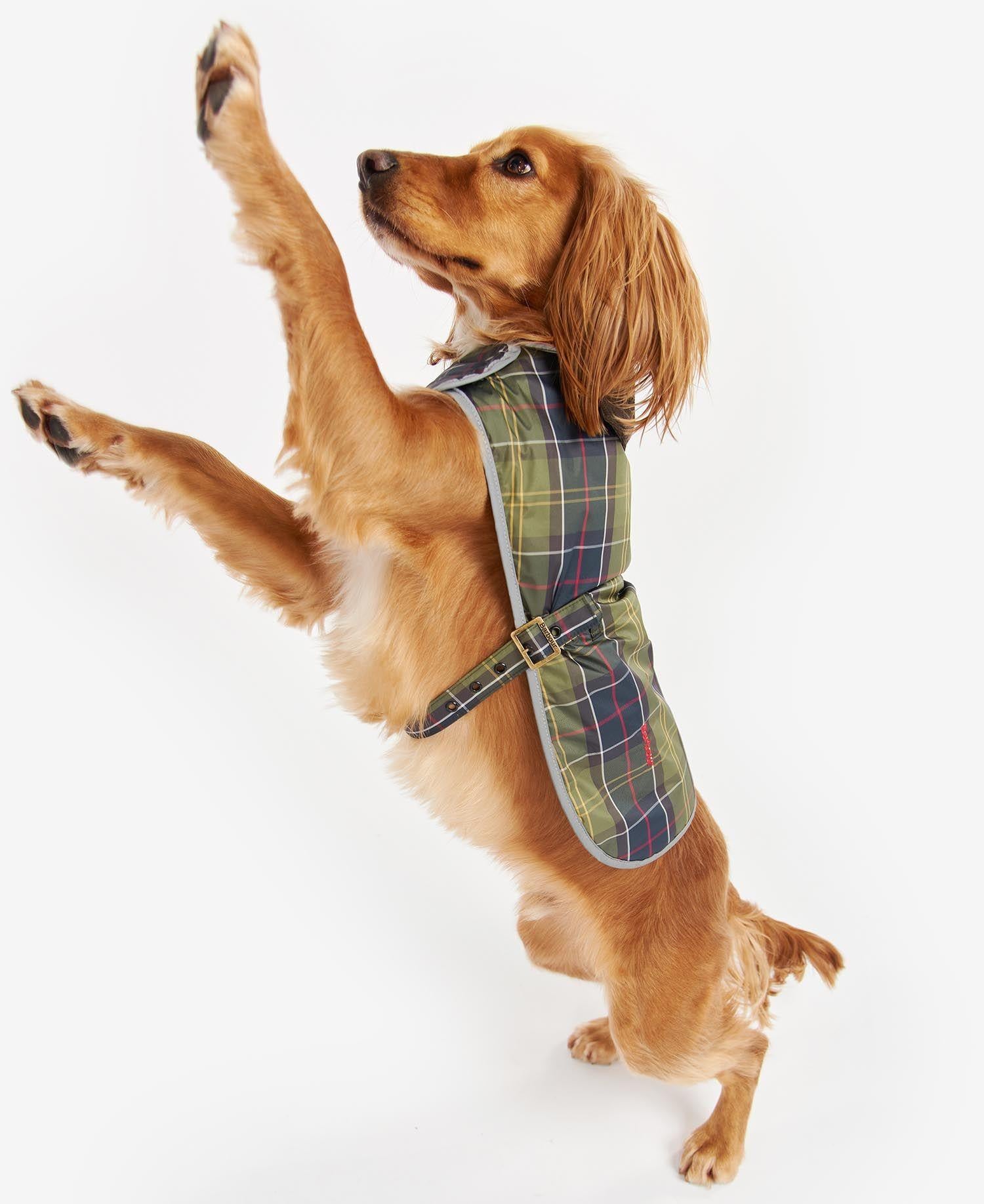 Barbour Wetherham Ekose Köpek Montu
