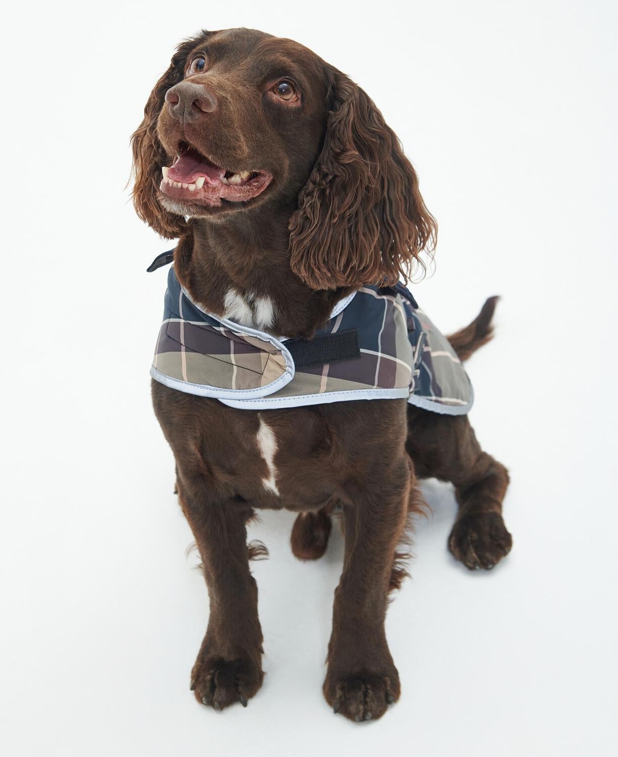 Barbour Wetherham Ekose Köpek Montu