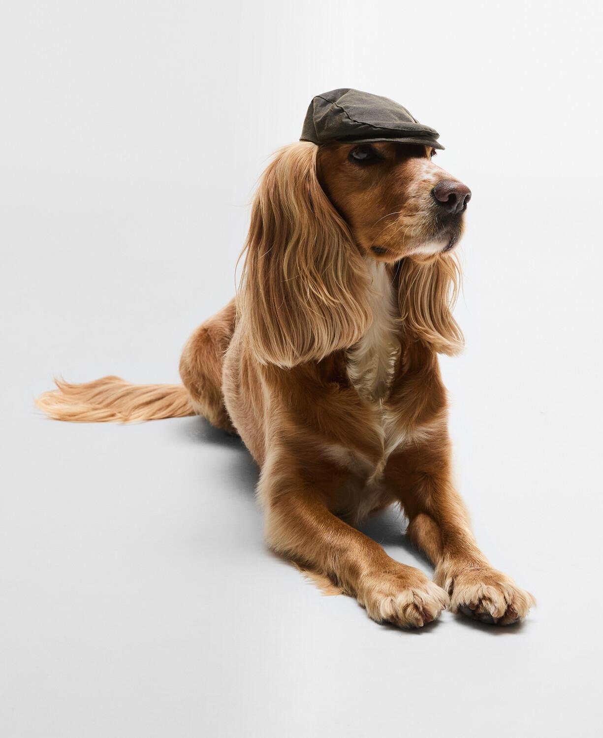 Barbour Yağlı Köpek Kasketi