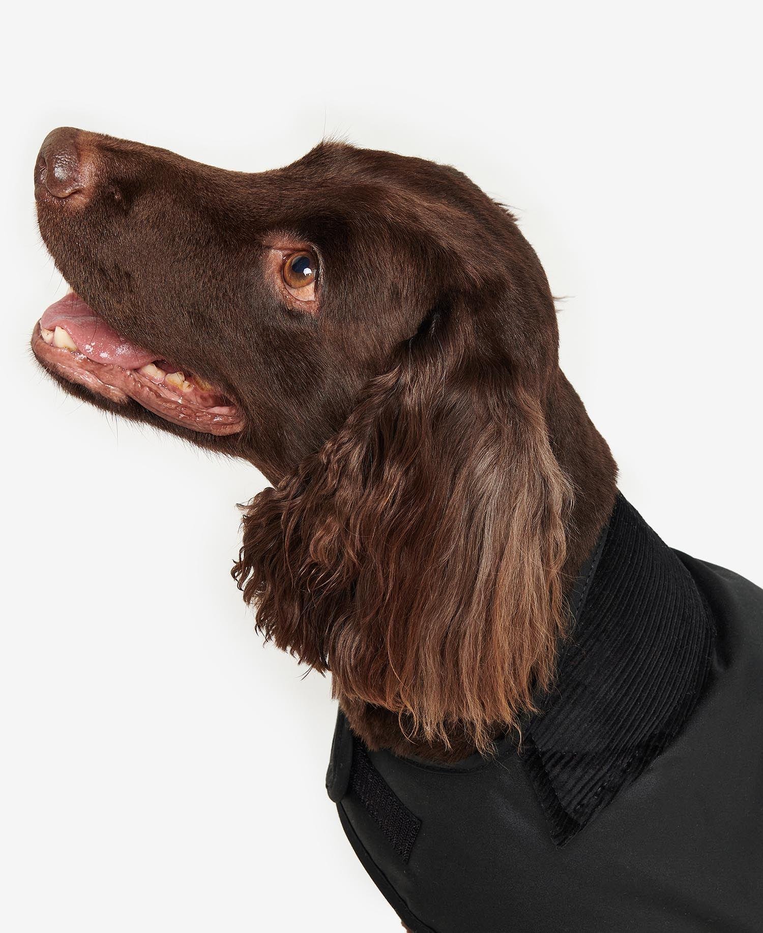 Barbour Yağlı Köpek Kıyafeti