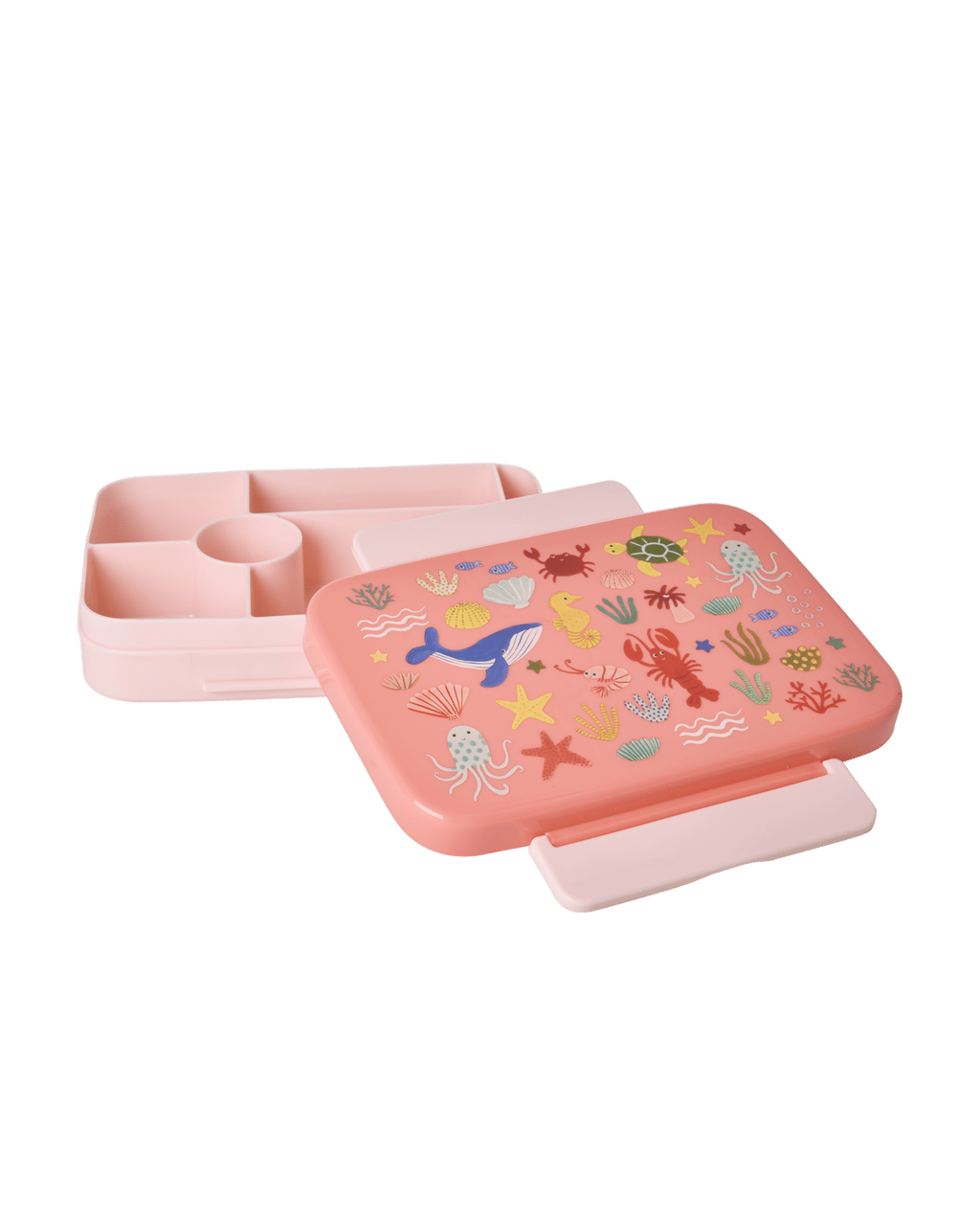 Plastik Saklama Kabı - Pembe Okyanus