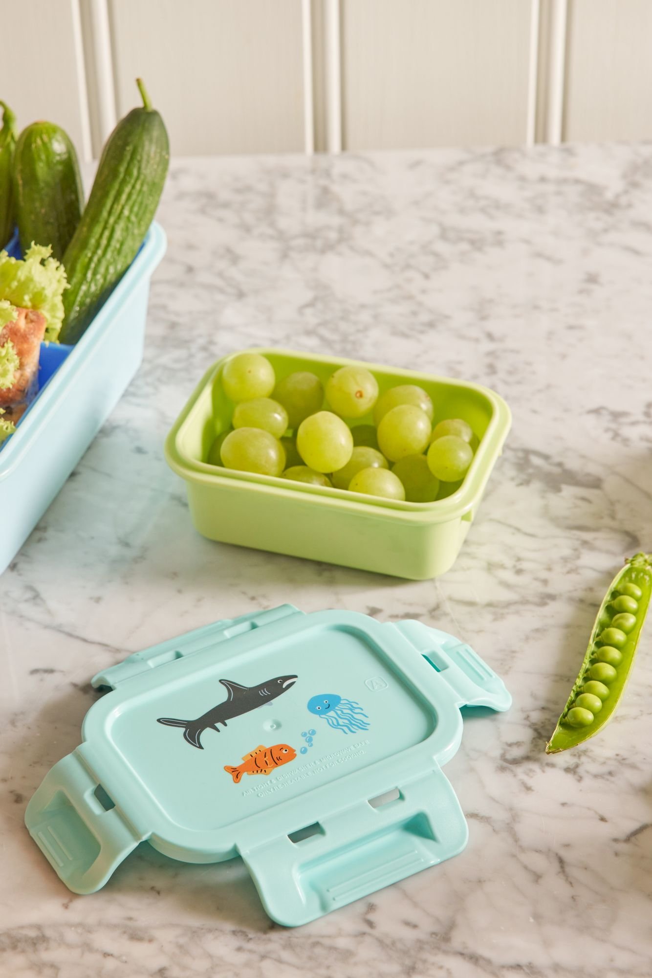 Plastik Small Lunchbox - Mint Vahşi Yaşam