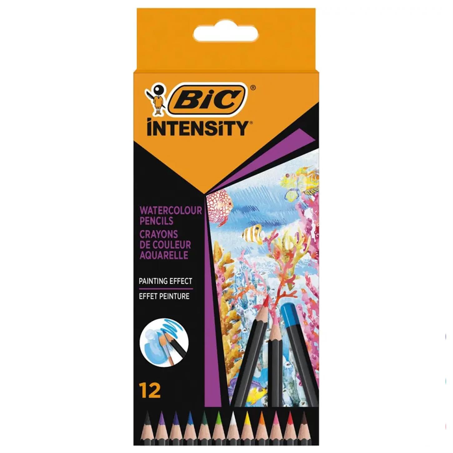 Bic Intensity Aquacouleur Kuru Sulu Boya Kalemi,  12 Renk
