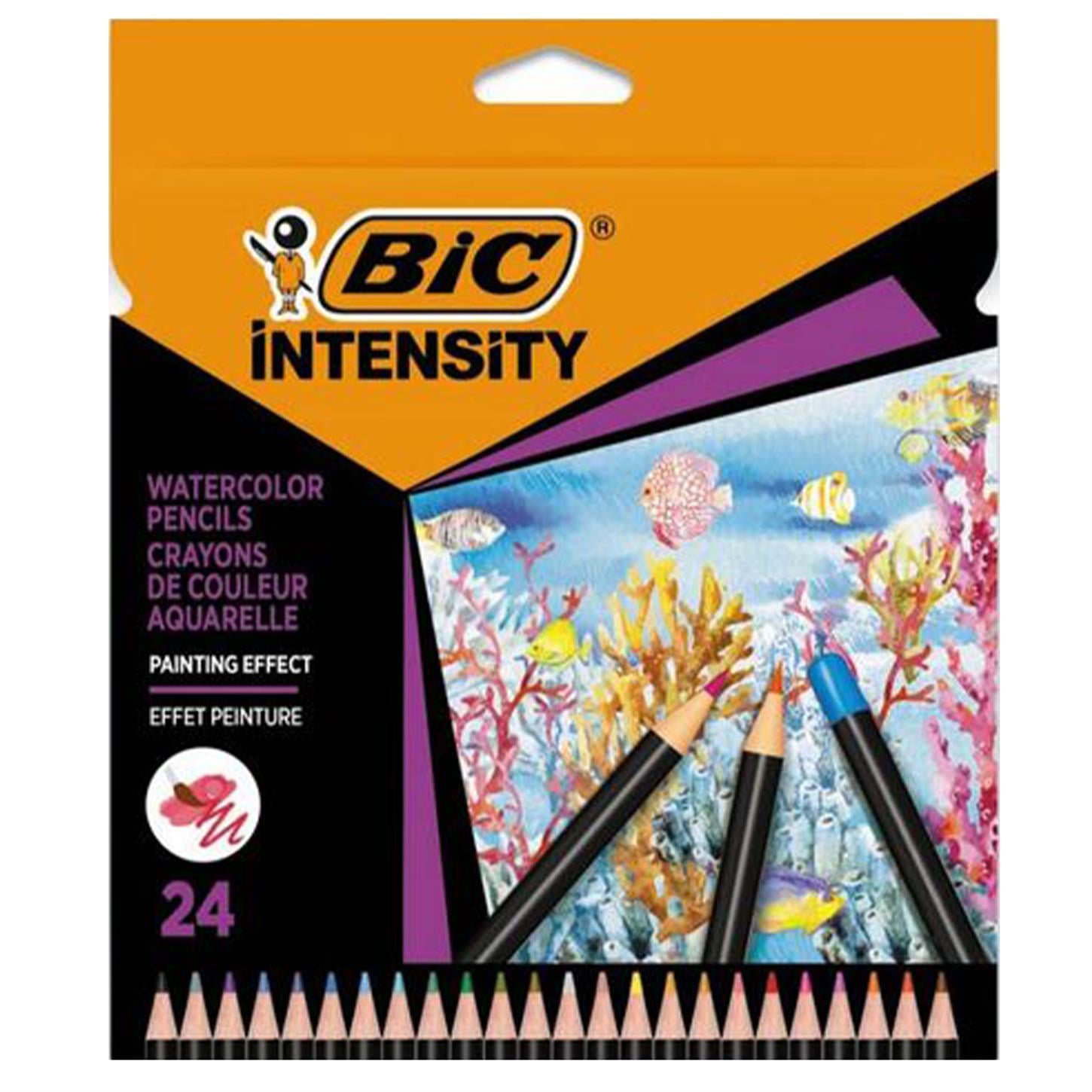 Bic Intensity Aquacouleur Kuru Sulu Boya Kalemi,  24 Renk
