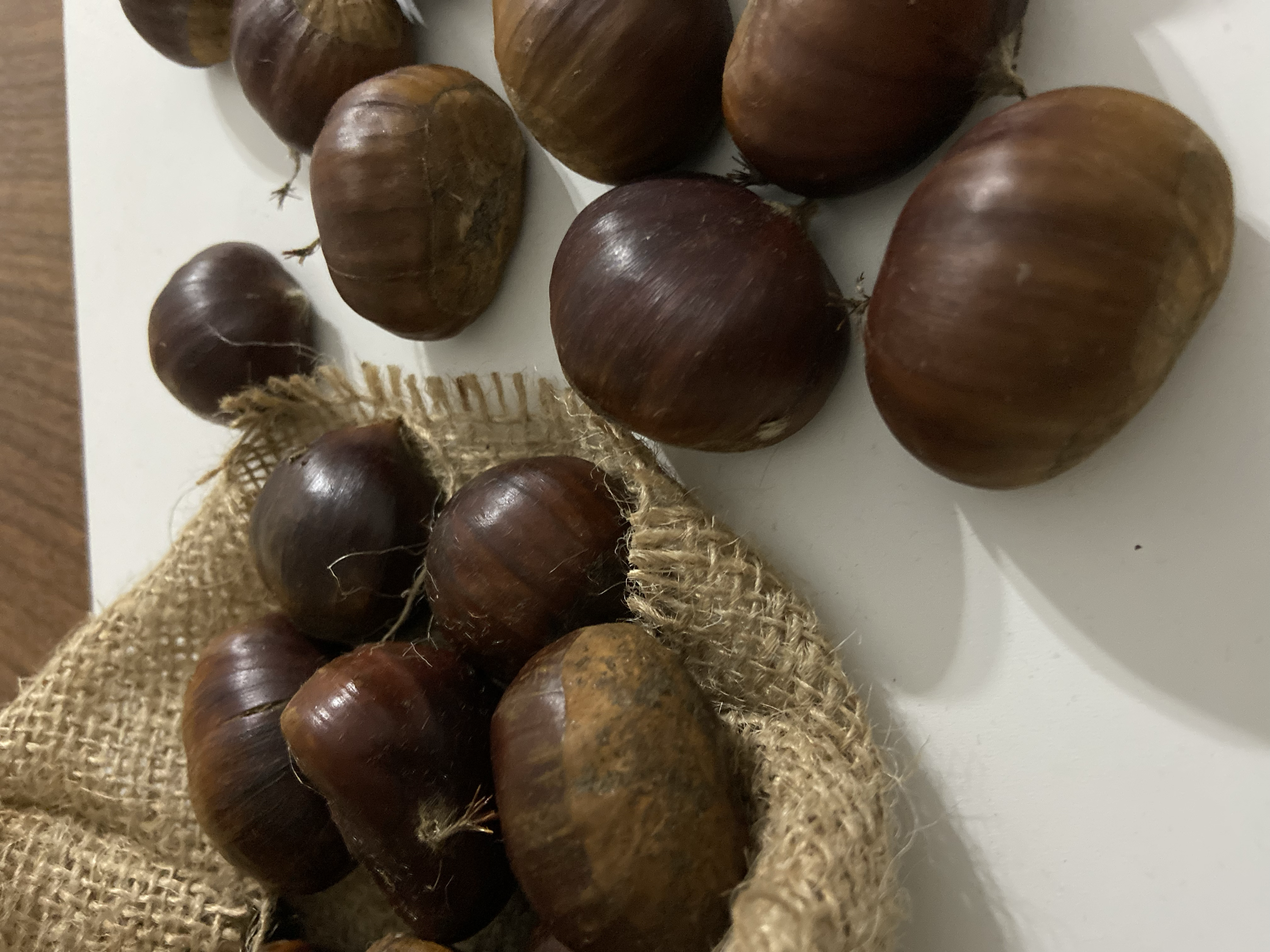 Kestane Jumbo