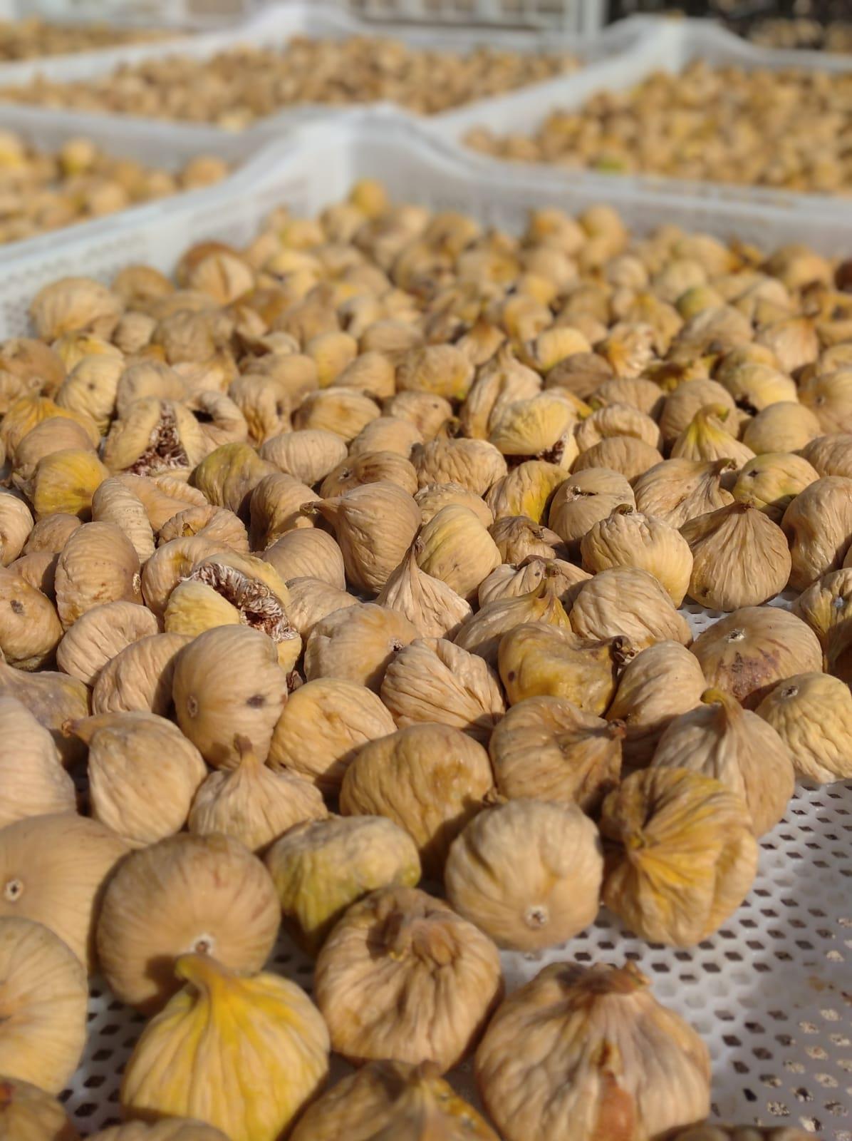 Kuru incir 500 Gr
