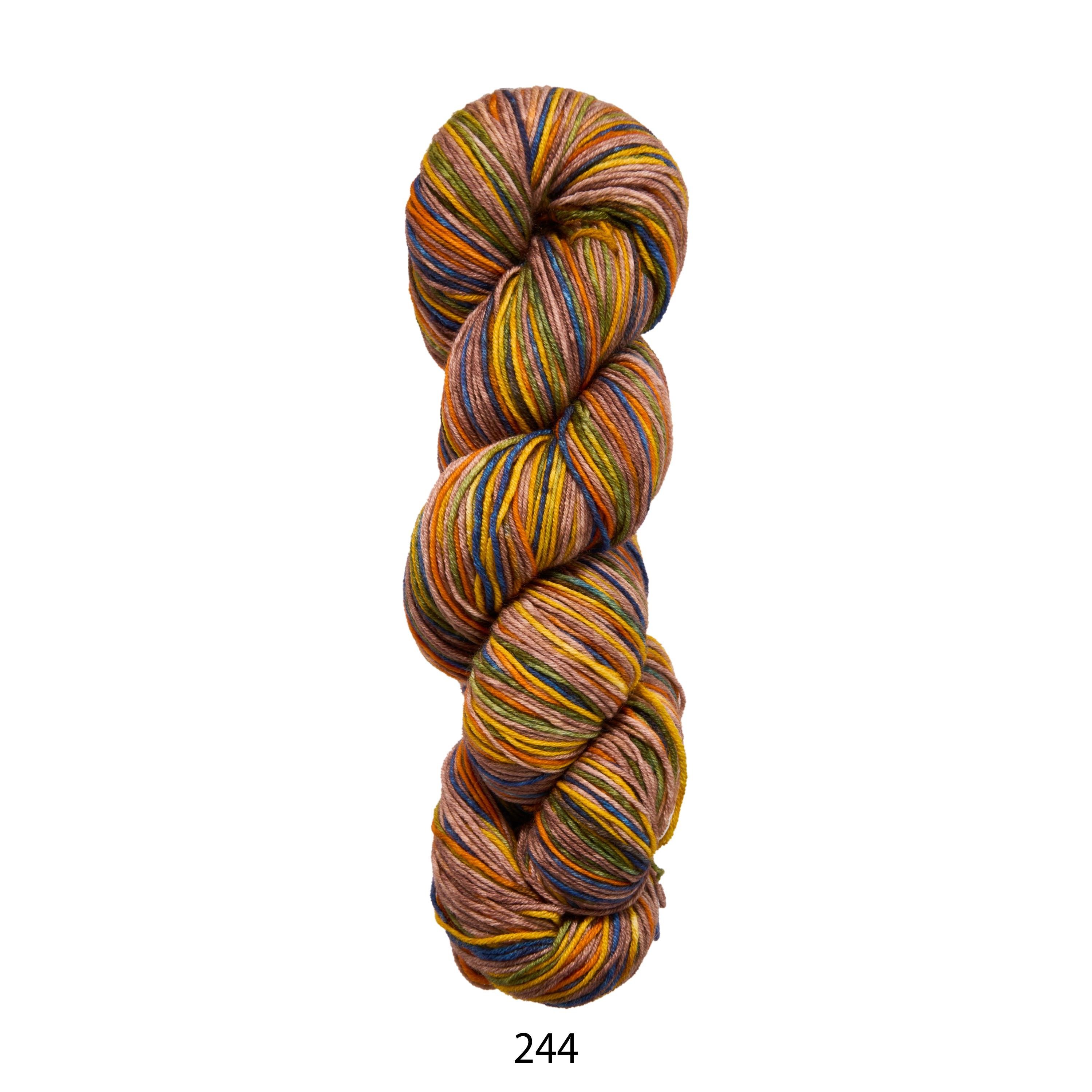 244