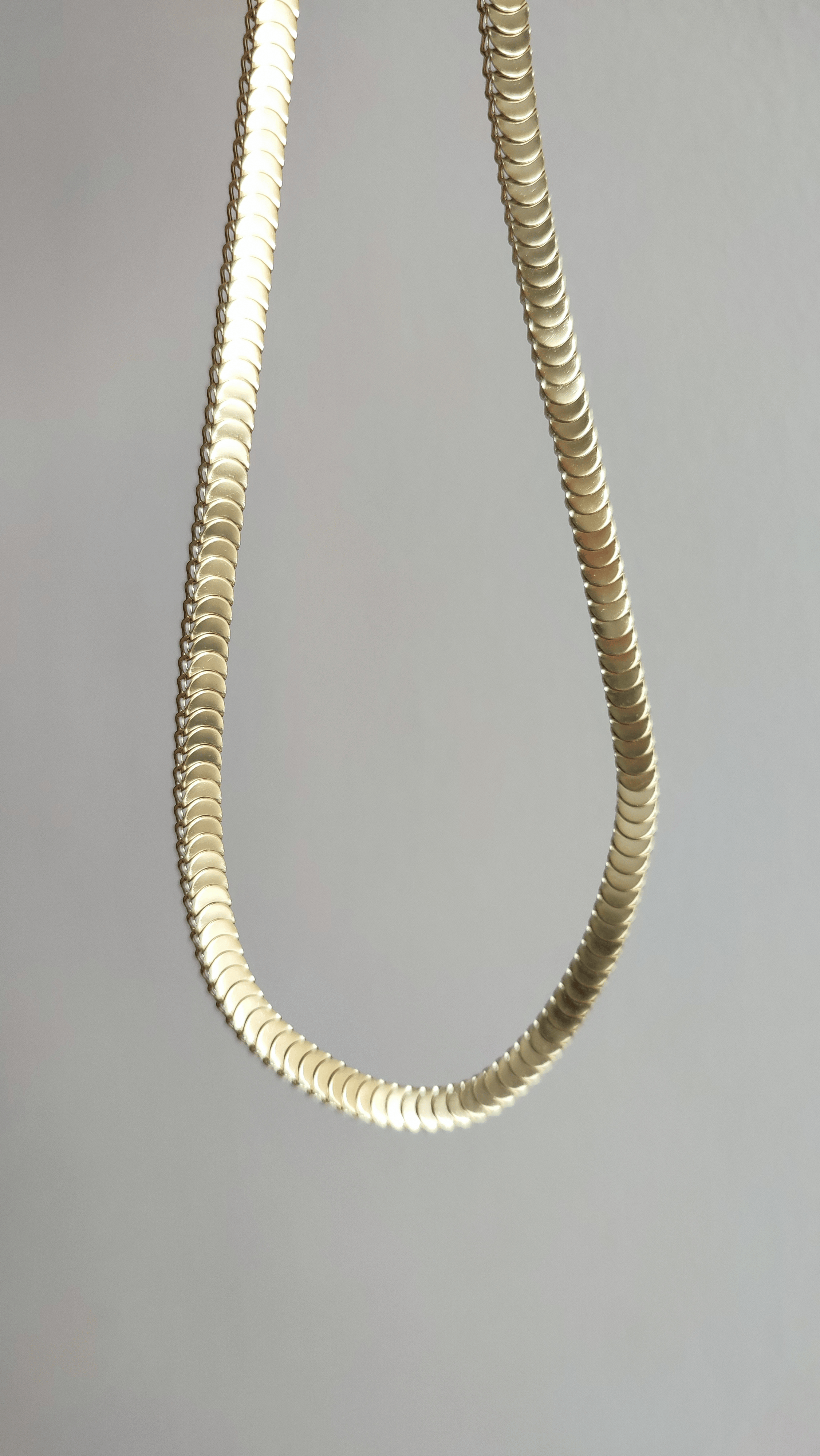 ÇELİK 14K BALIK SIRTI KOLYE (49 cm)