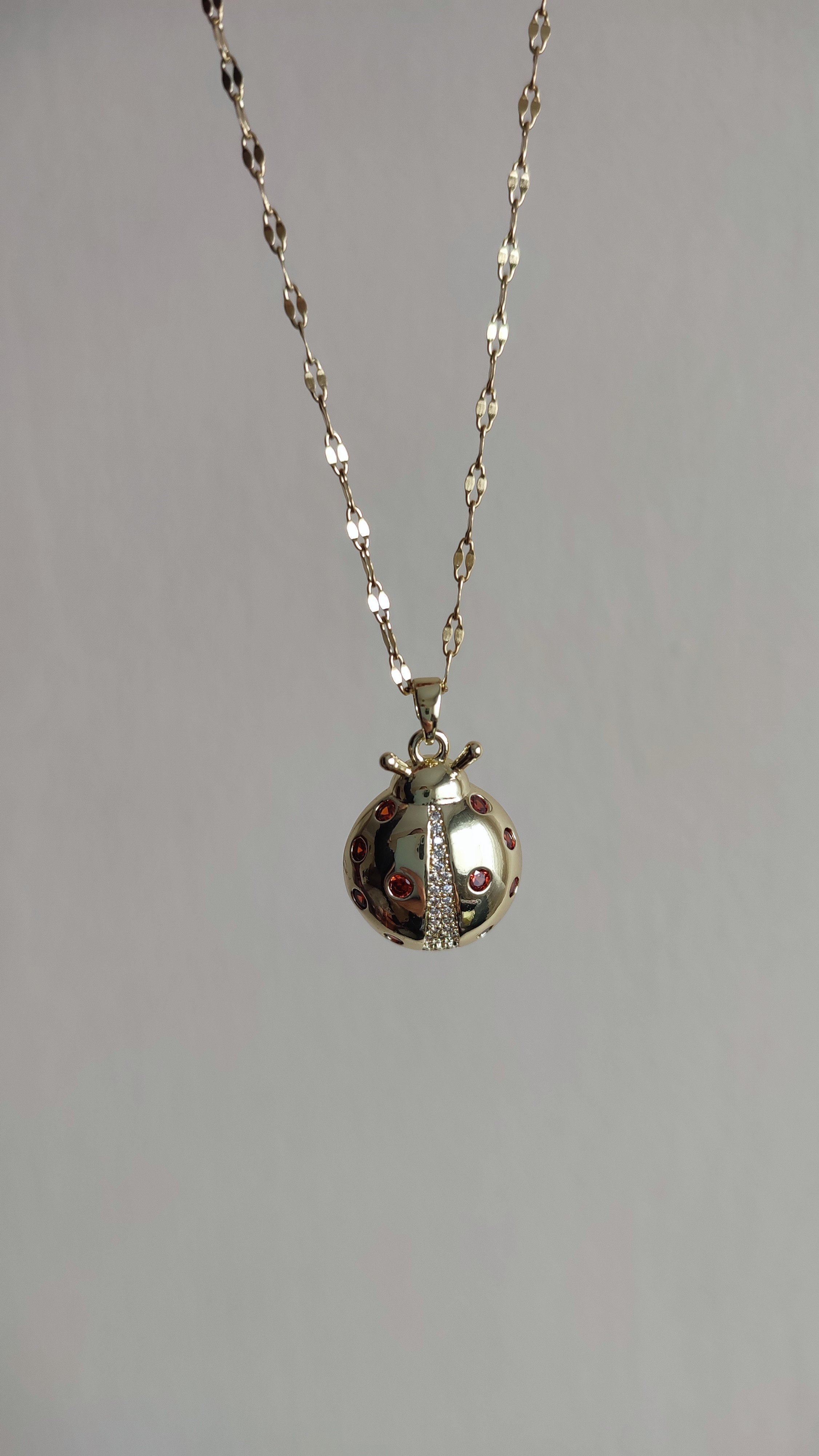 ÇELİK 14K KIRMIZI TAŞLI UĞUR BÖCEĞİ KOLYE (46 cm)