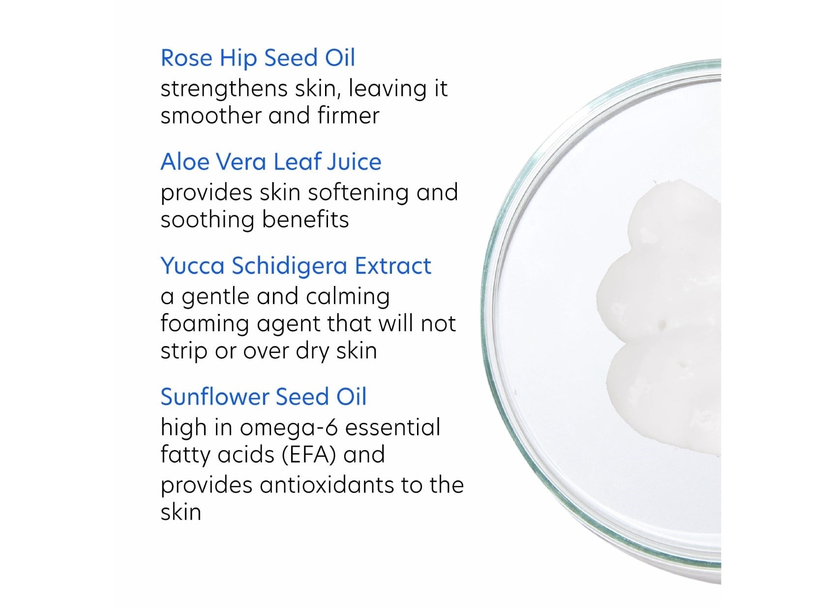 Cilt TemizlemeCreamy Cleanser