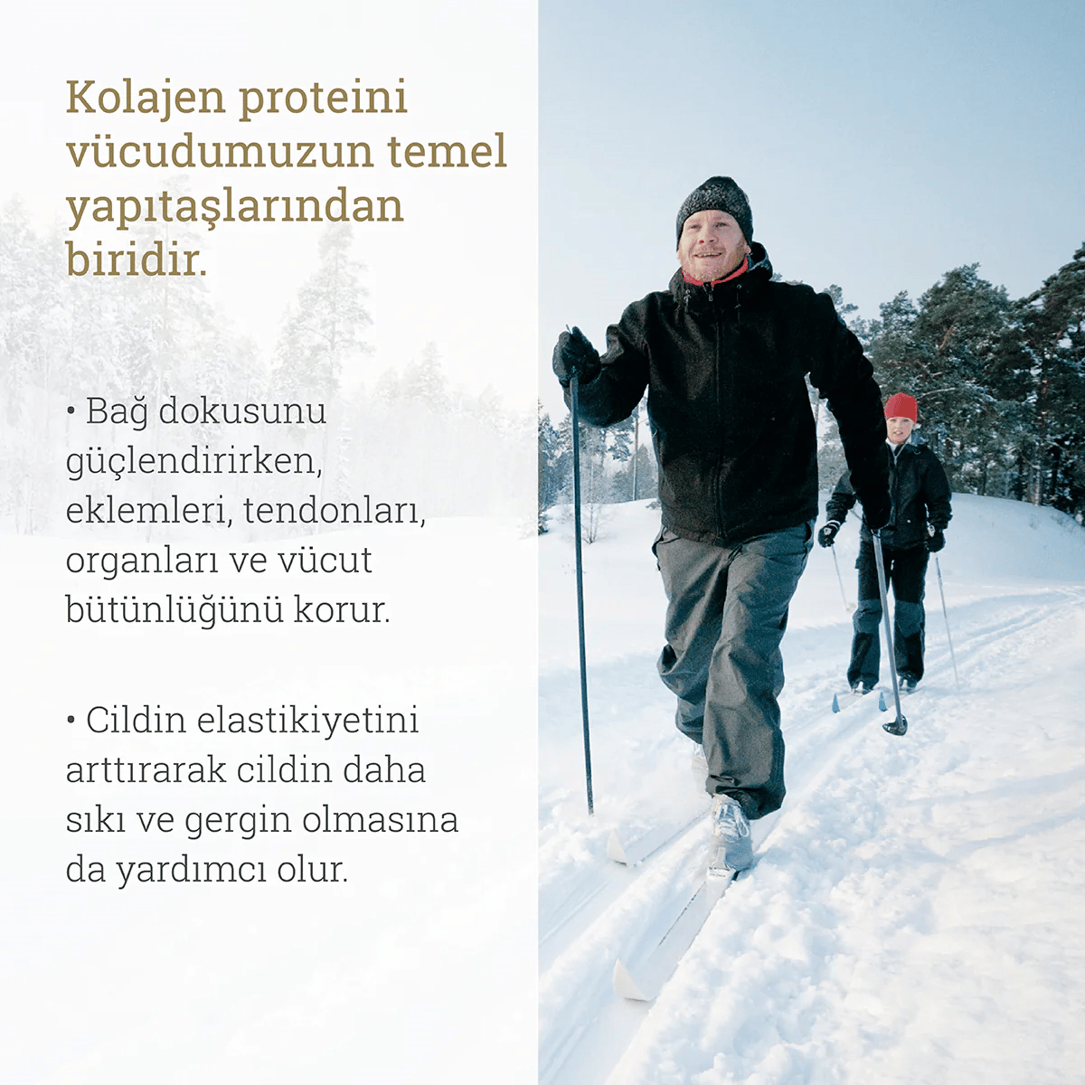 Omega-3Ballstad Somon Kolajen - Aylık Ambalajda