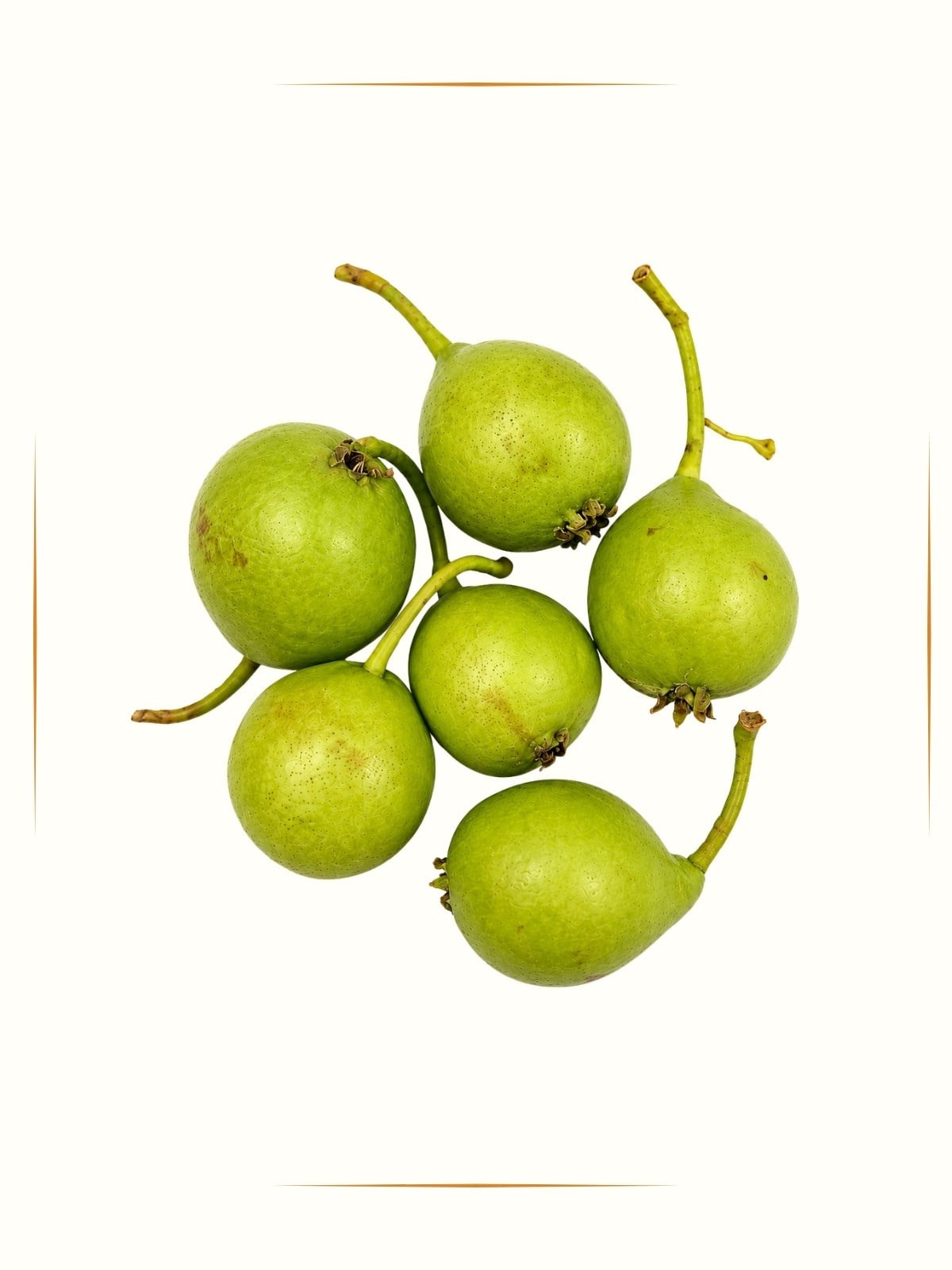 Armut 500 g