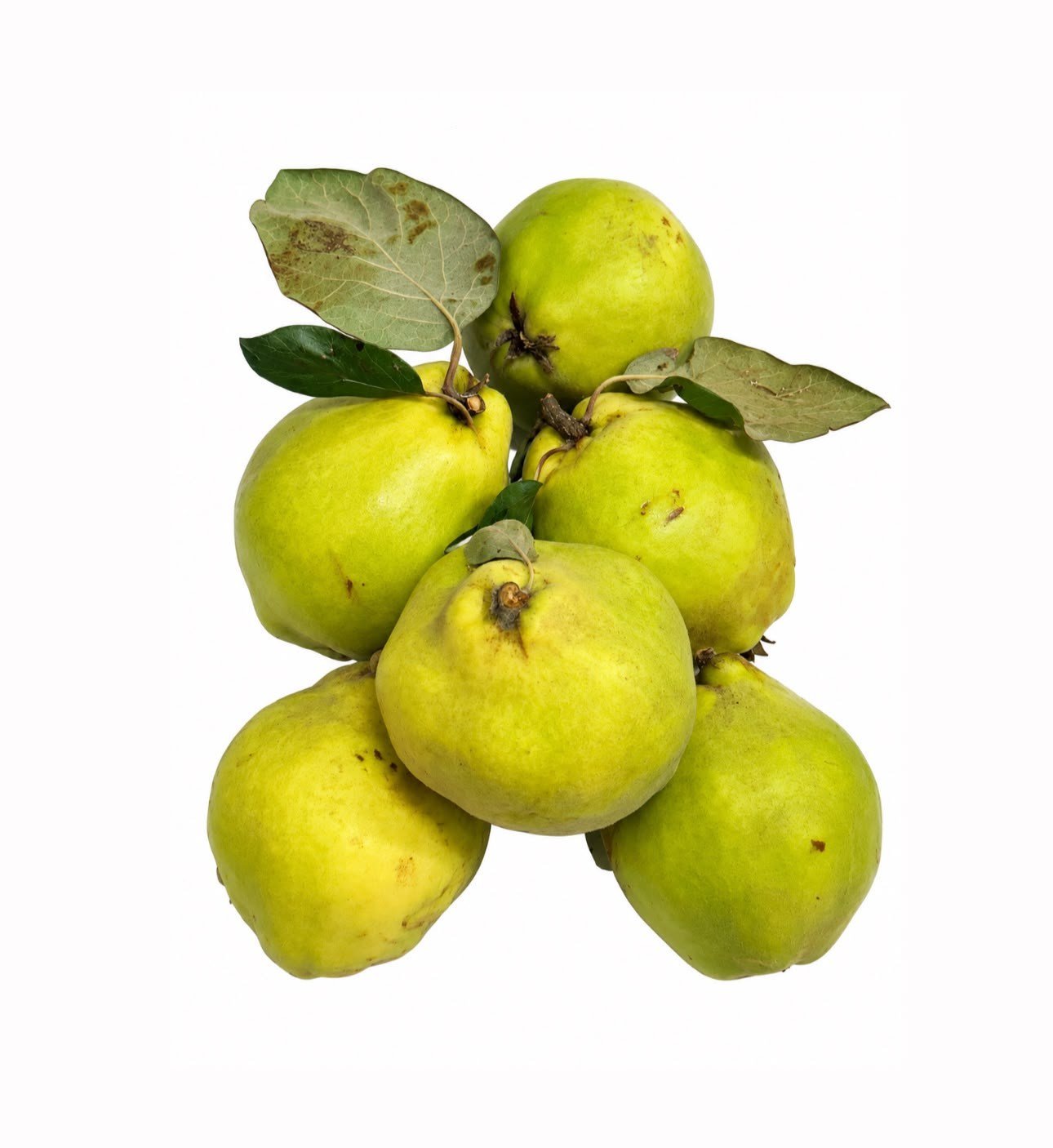 Ayva 1 kg
