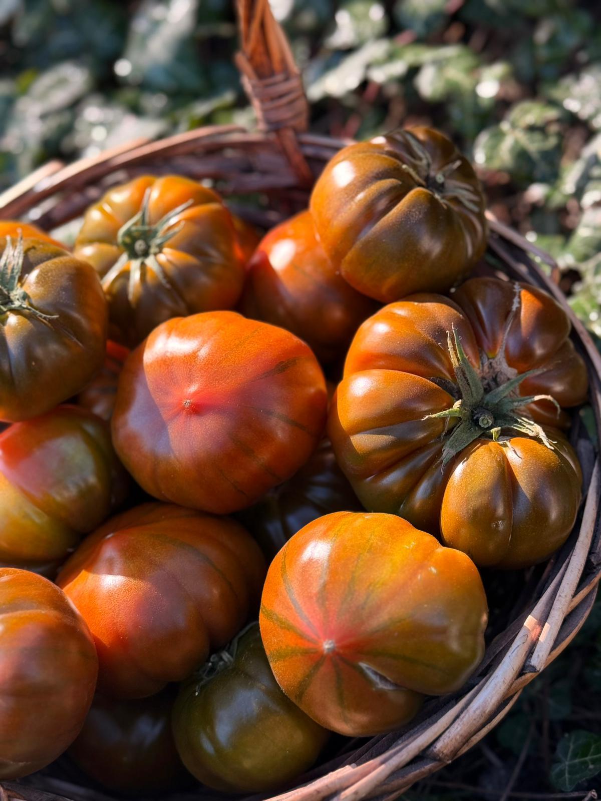 Çikolata Domates 600 gr