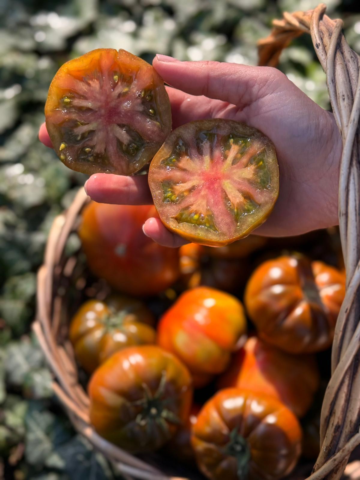 Çikolata Domates 600 gr