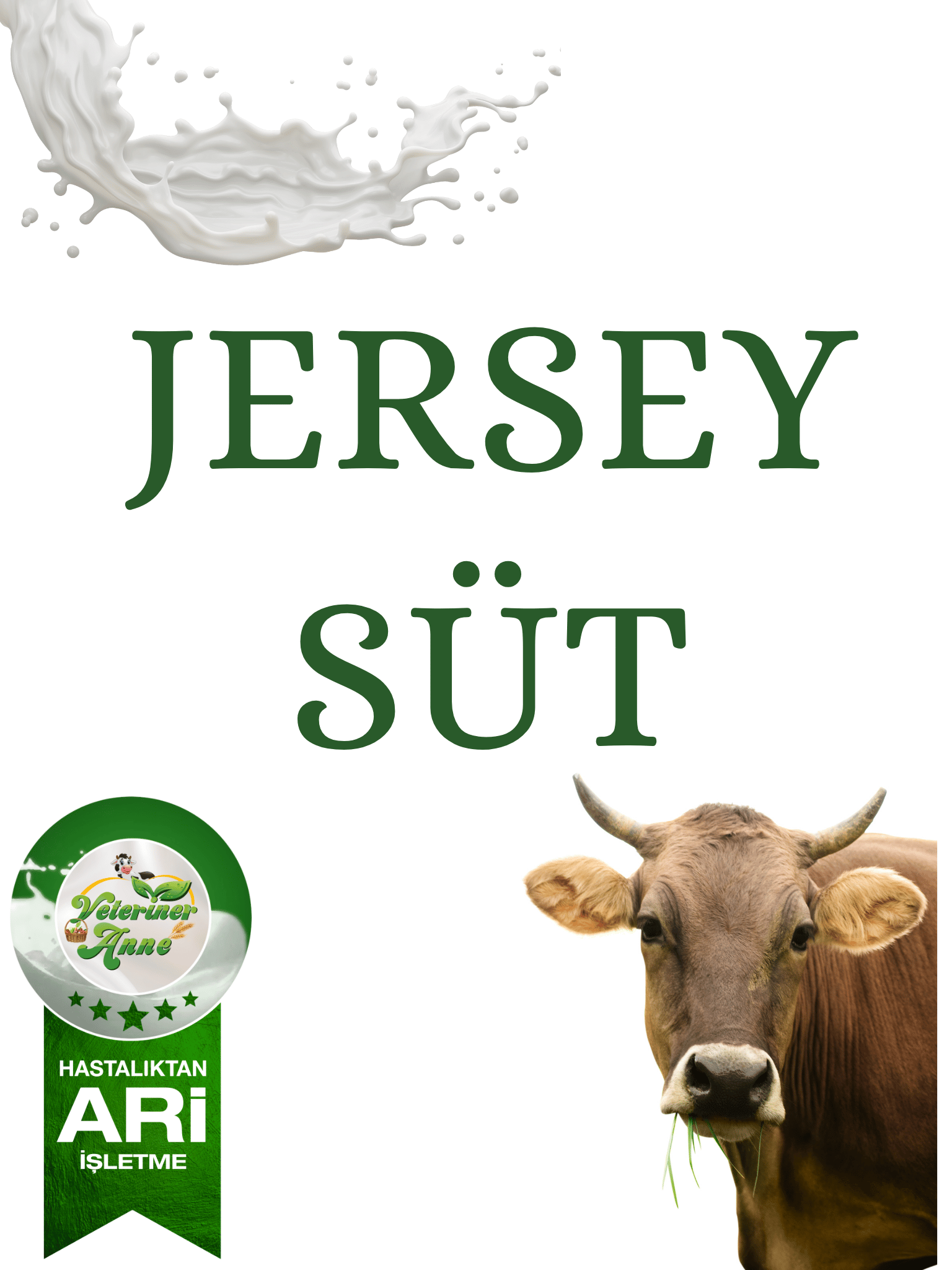 Jersey İnek Sütü 3 litre