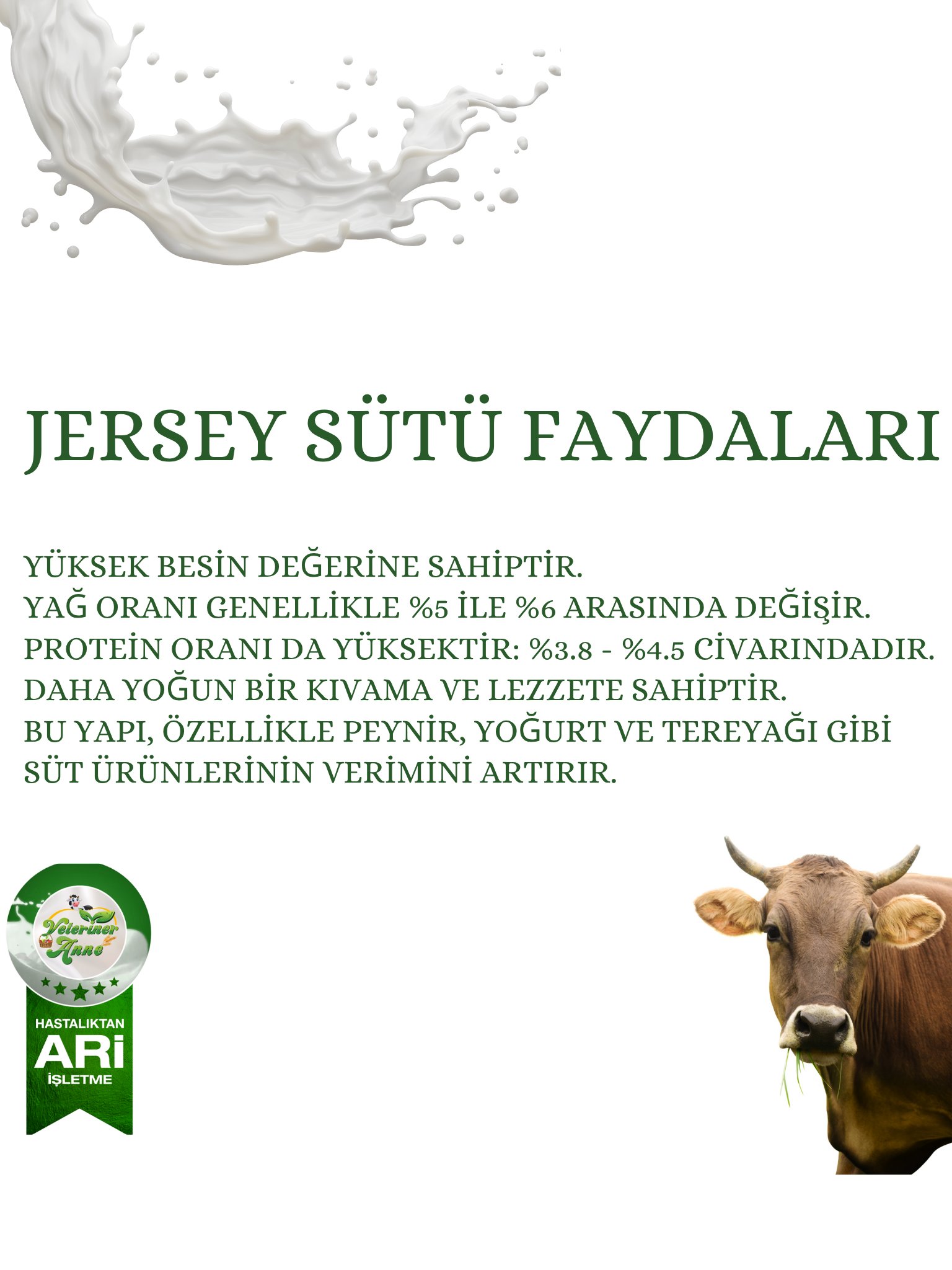 Jersey İnek Sütü 3 litre