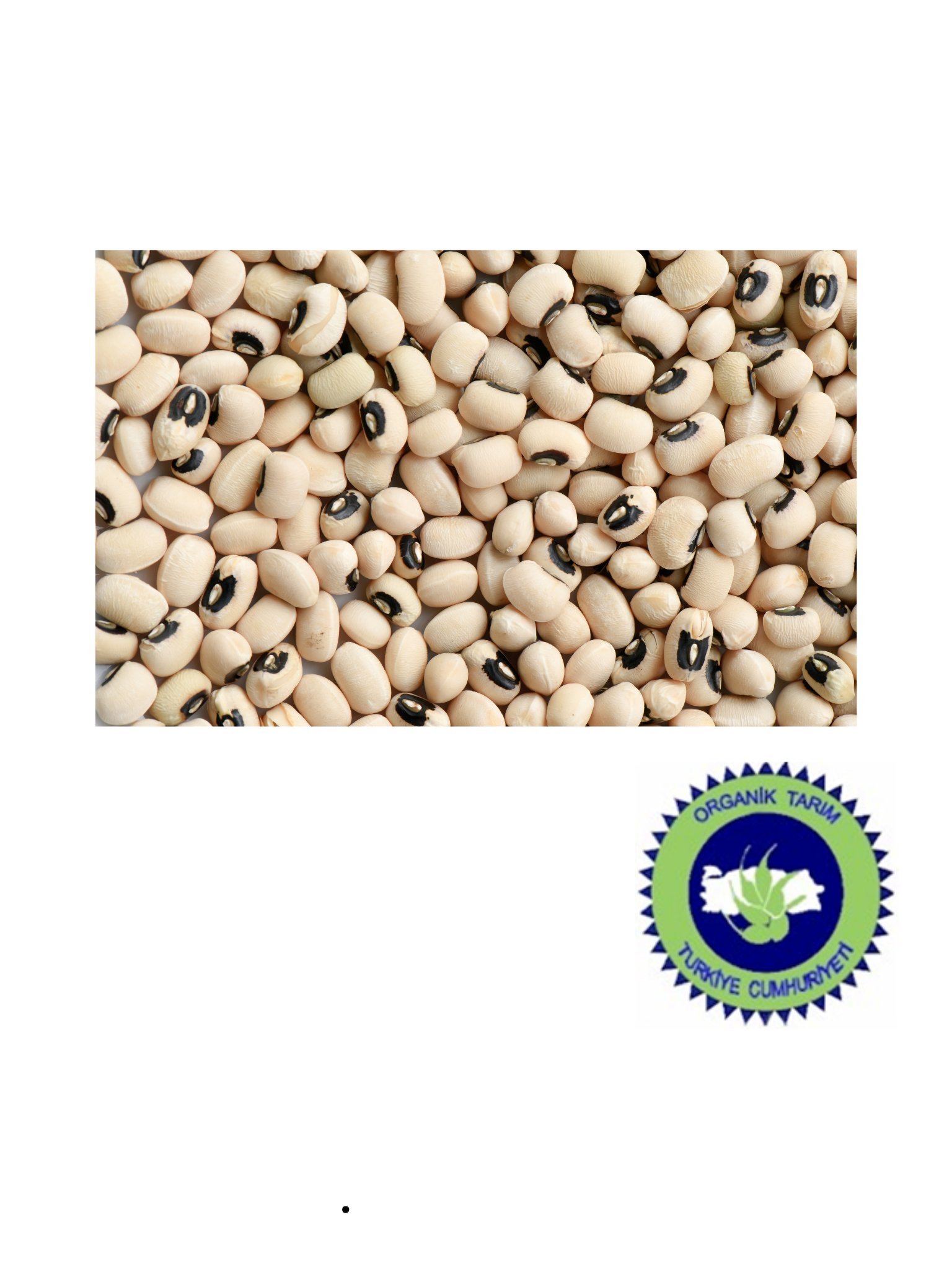 Kuru Börülce 500 gr