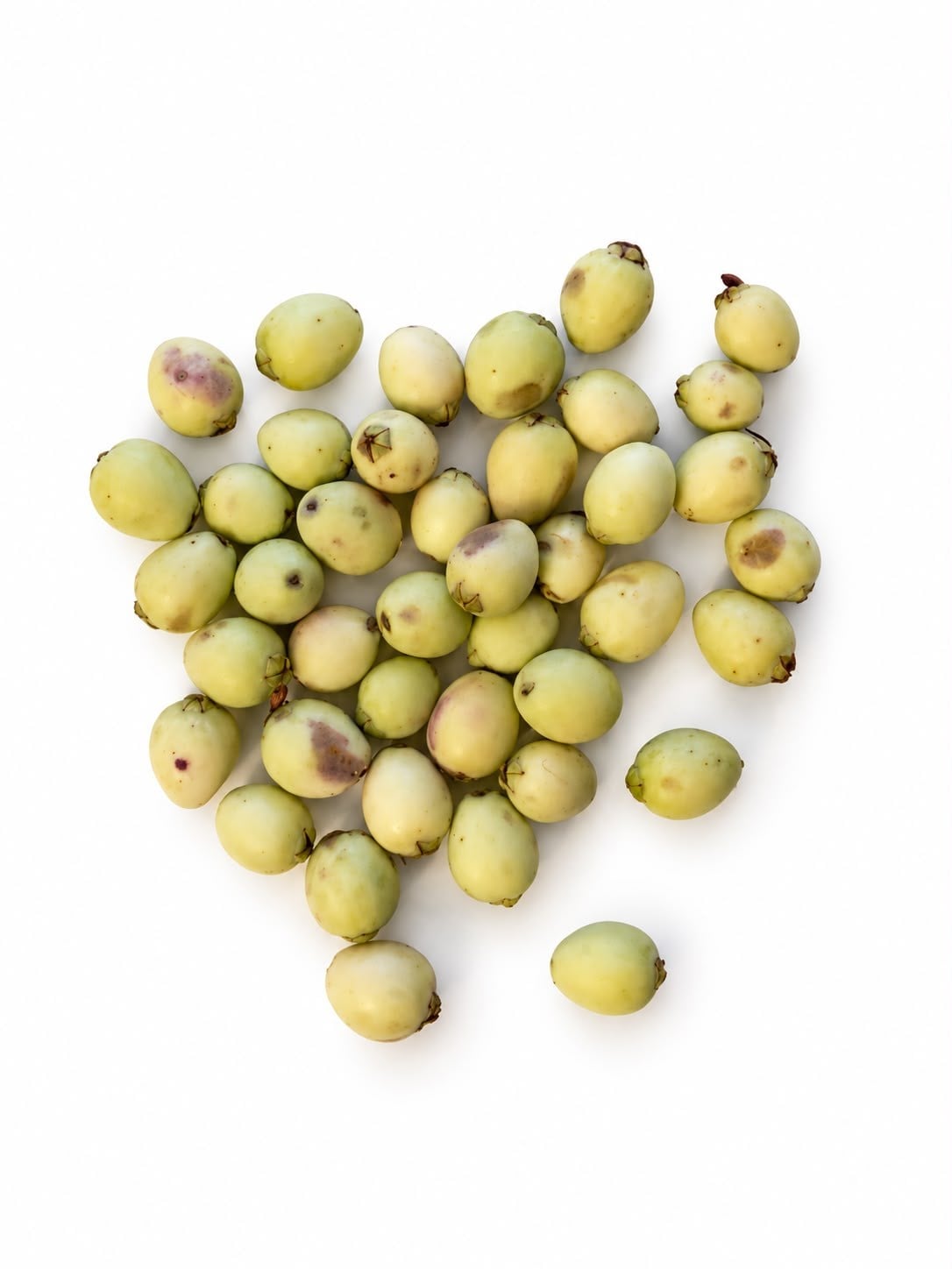 Murt Meyvesi 100 g