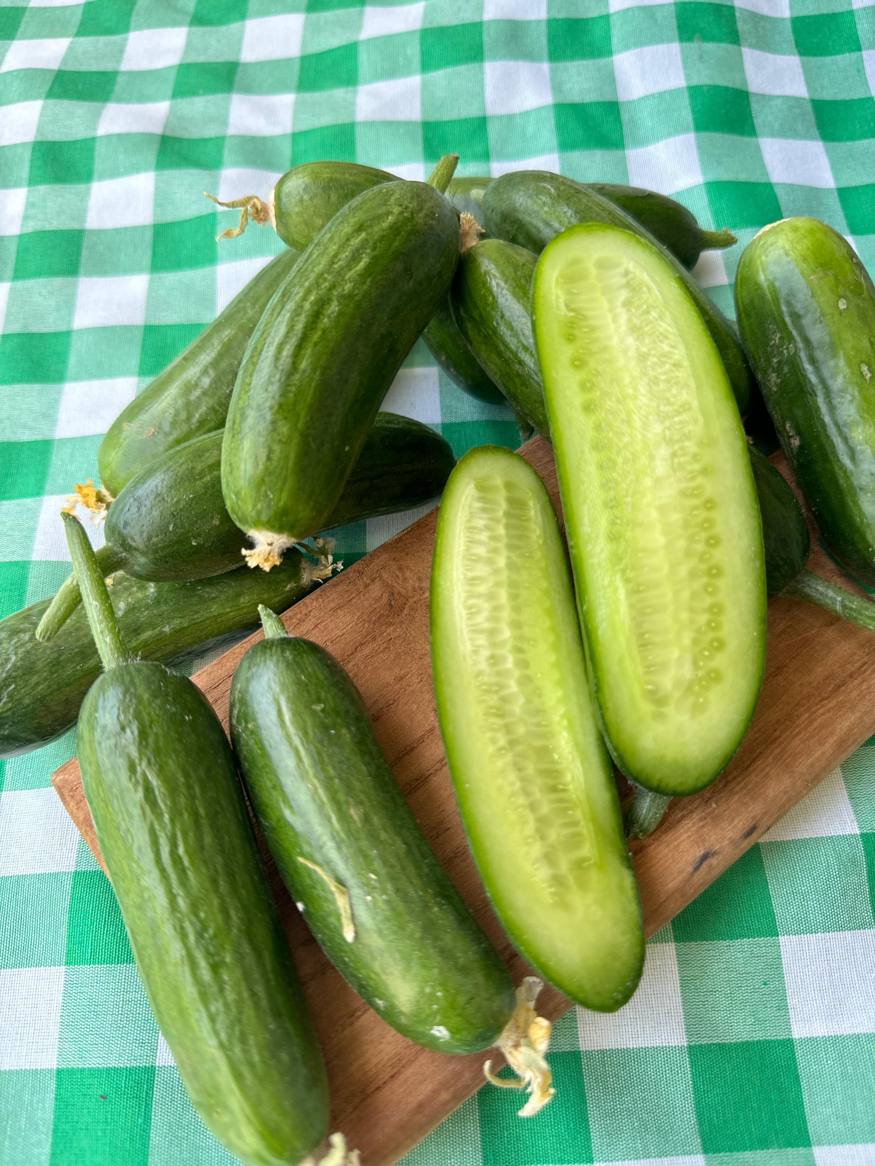 Salatalık 1kg
