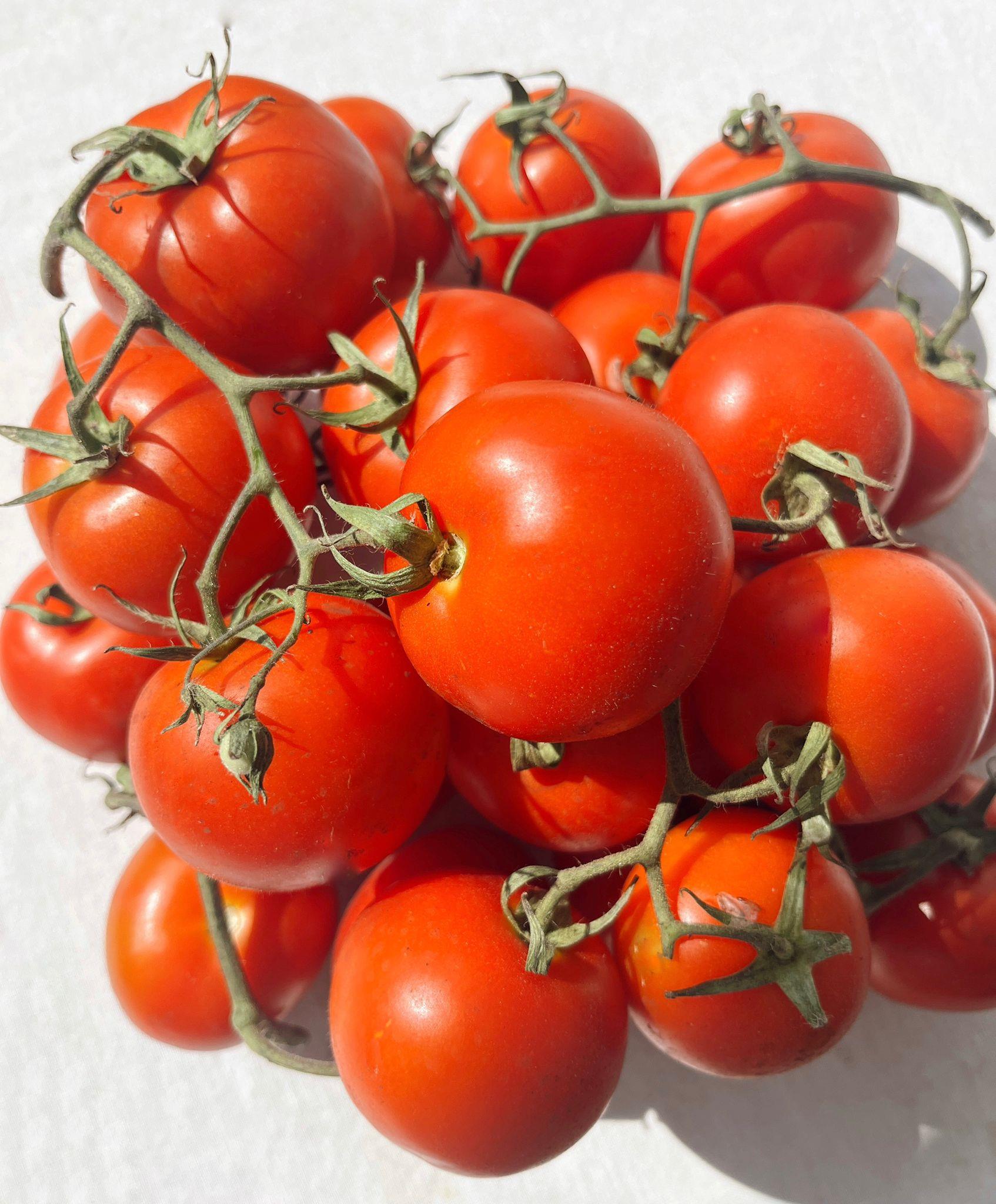 Salkım Domates 800 Gr