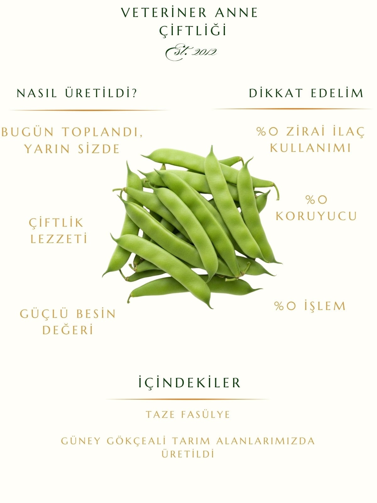 Taze Fasulye 1 kg