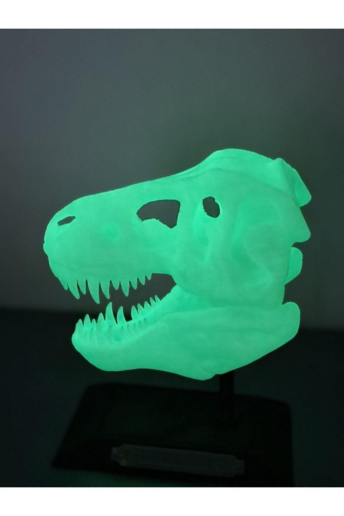 Gece Parlayan Fosforlu T-rex Dinozor Iskeleti Kafatası Standı
